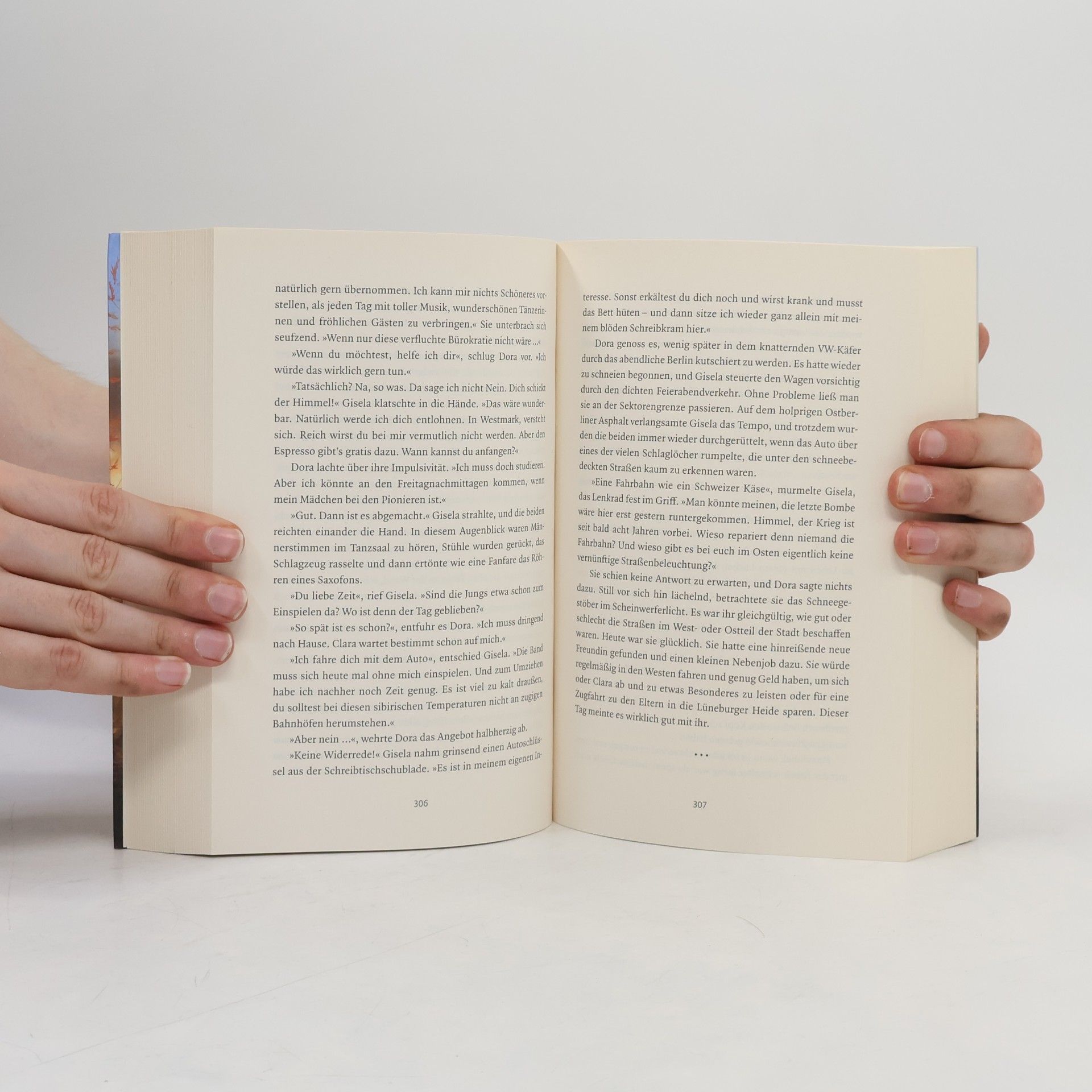 Theresia Graw Die Heimkehr der Störche
