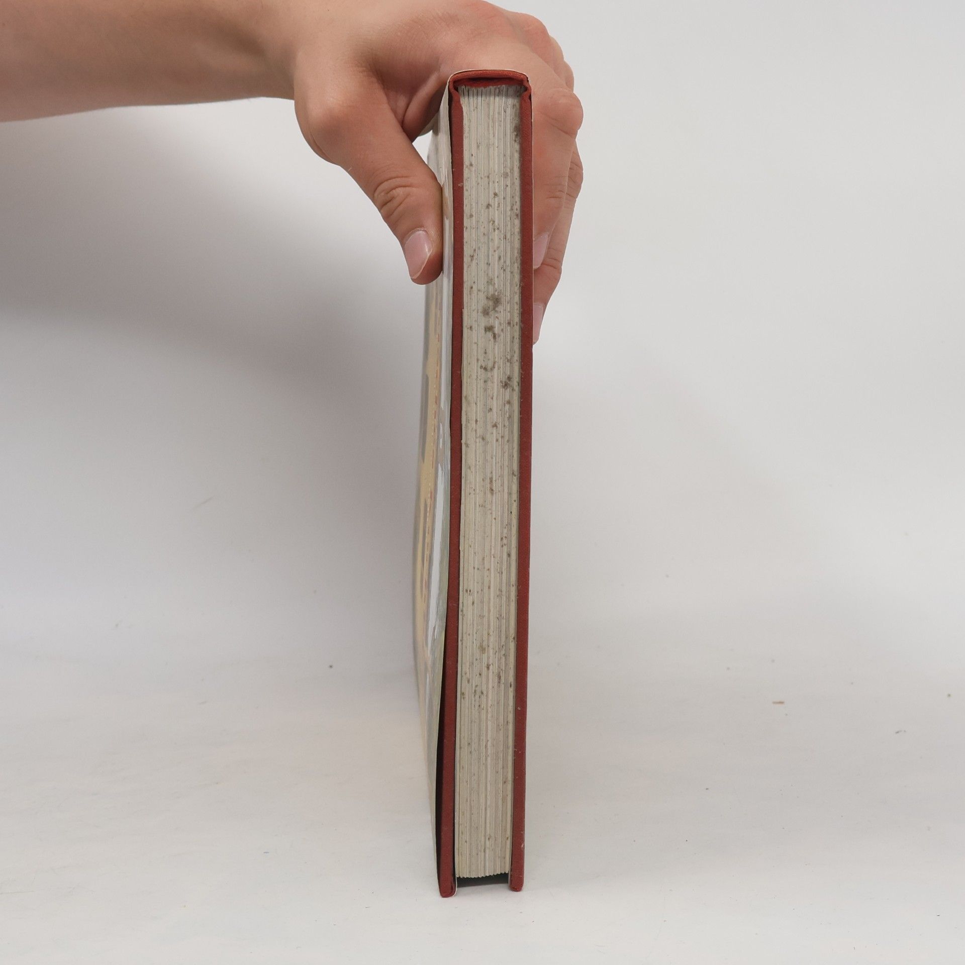 Stephanie Alexander Toskanisches Kochbuch