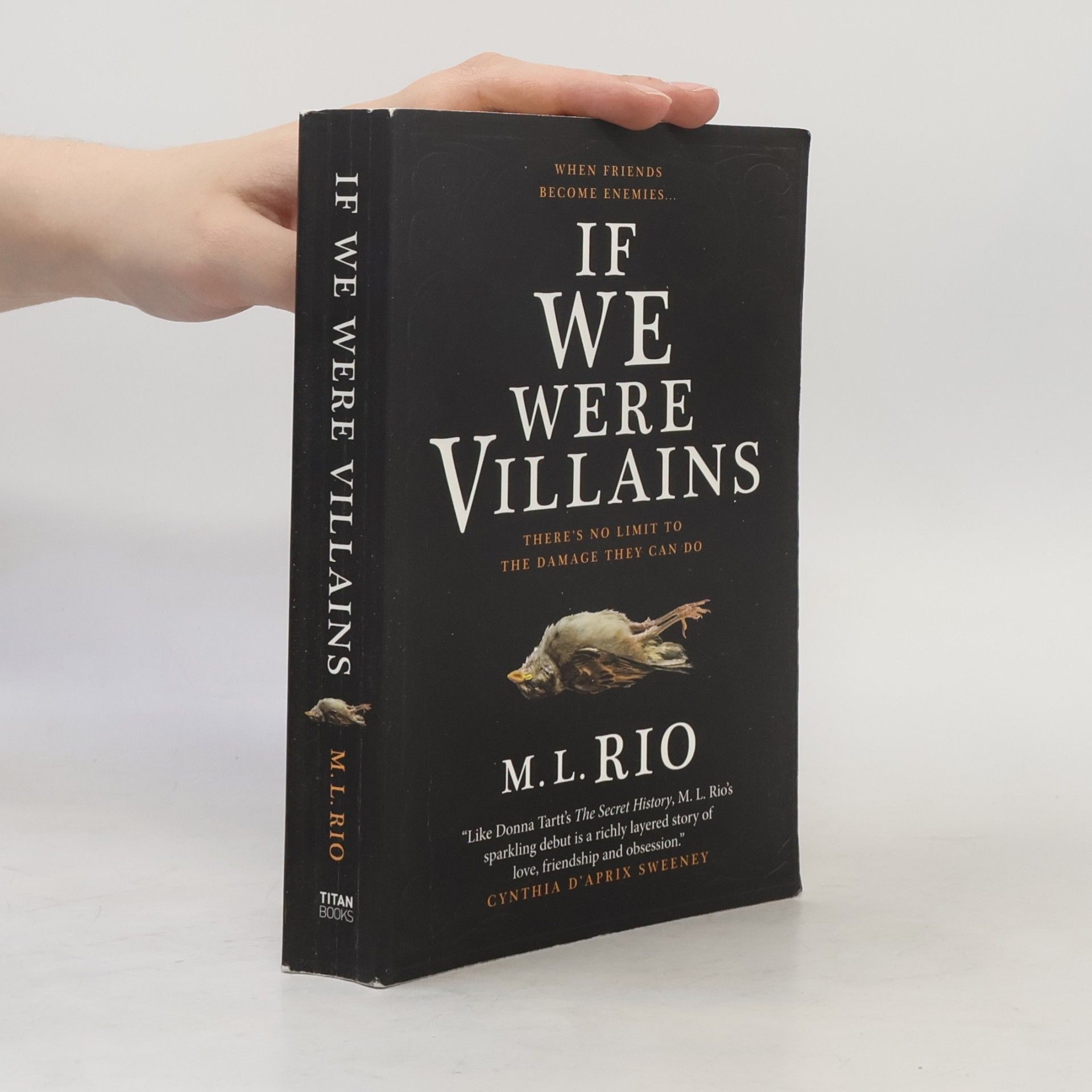 M. L. Rio If We Were Villains