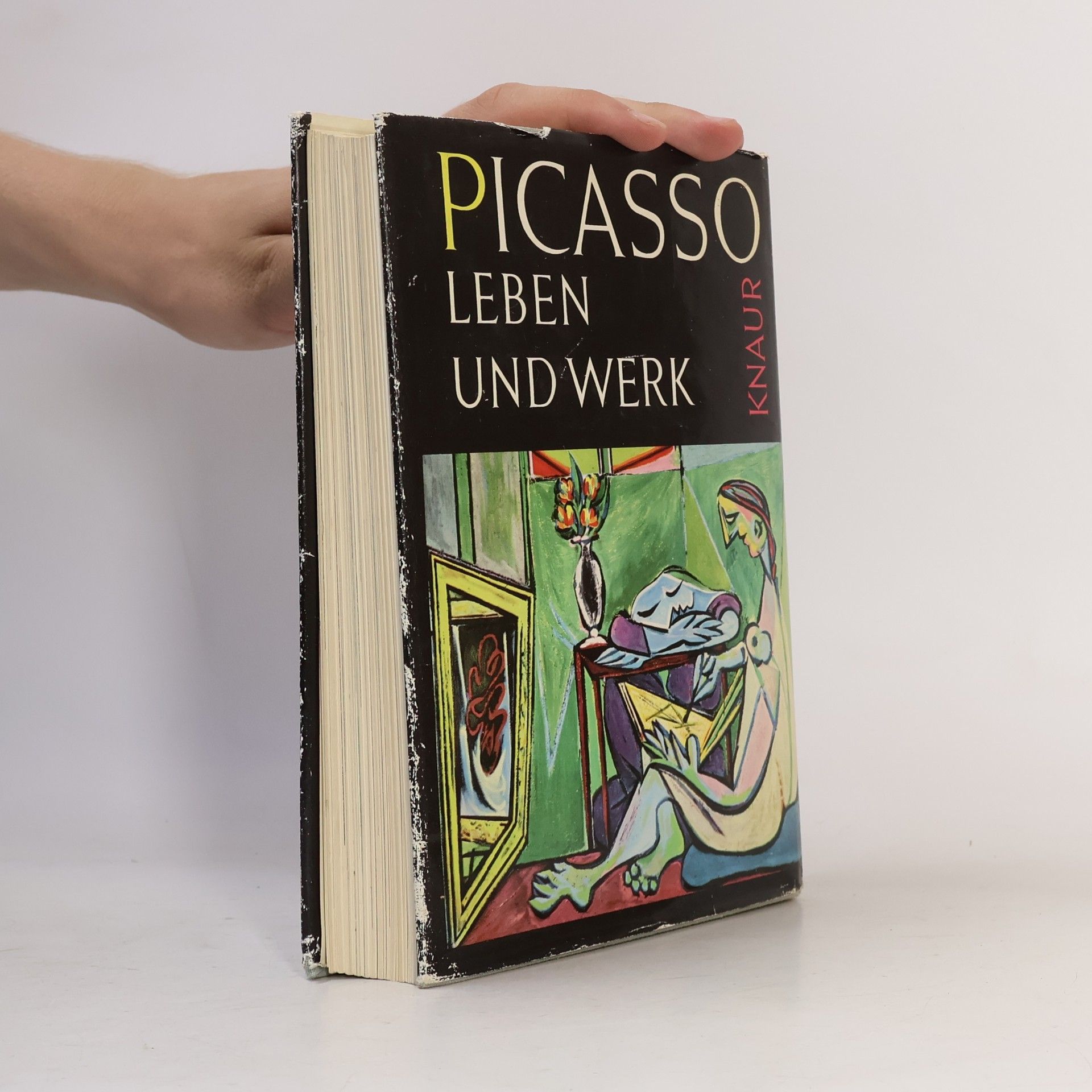 Auteurscollectief Picasso. Leben und Werk