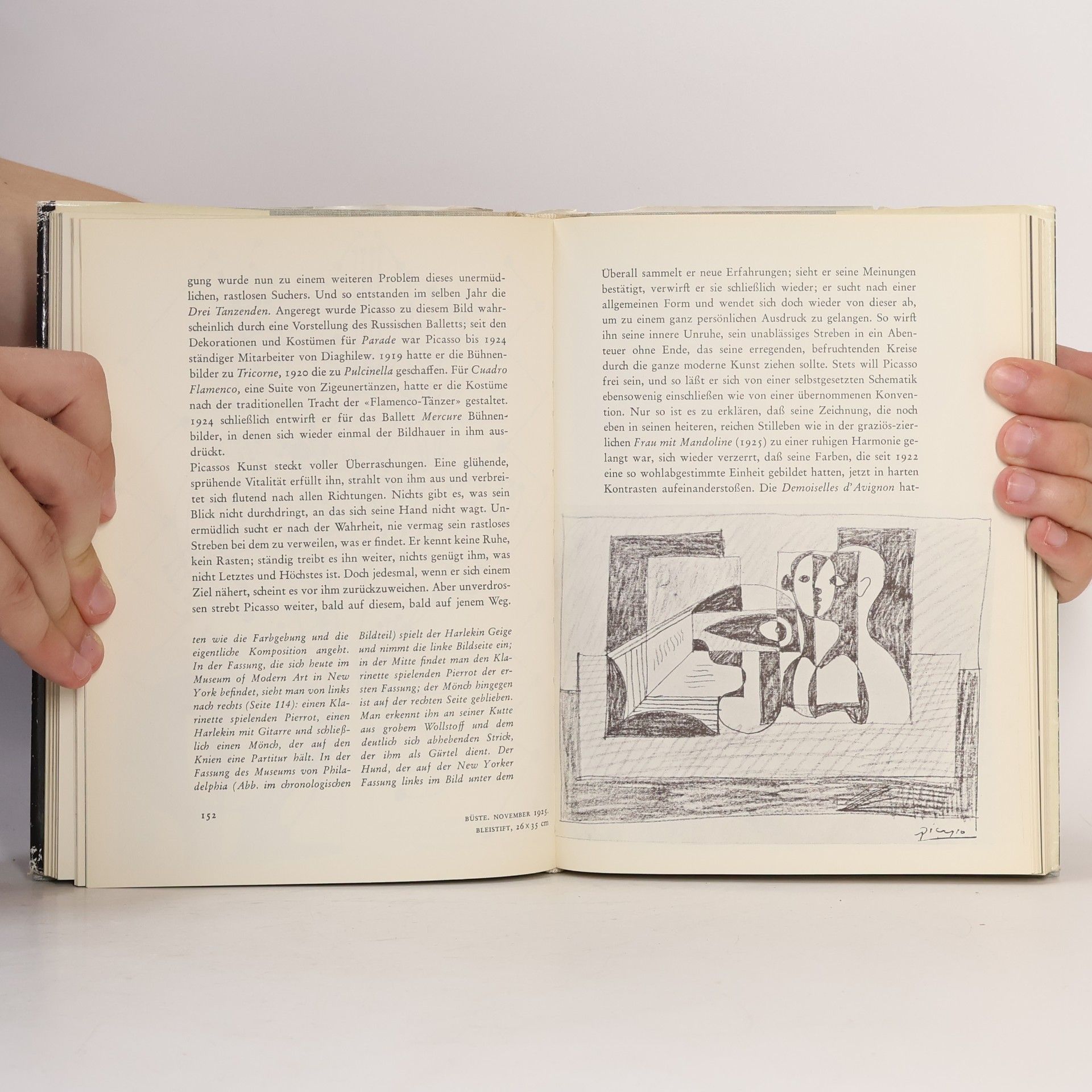 Auteurscollectief Picasso. Leben und Werk
