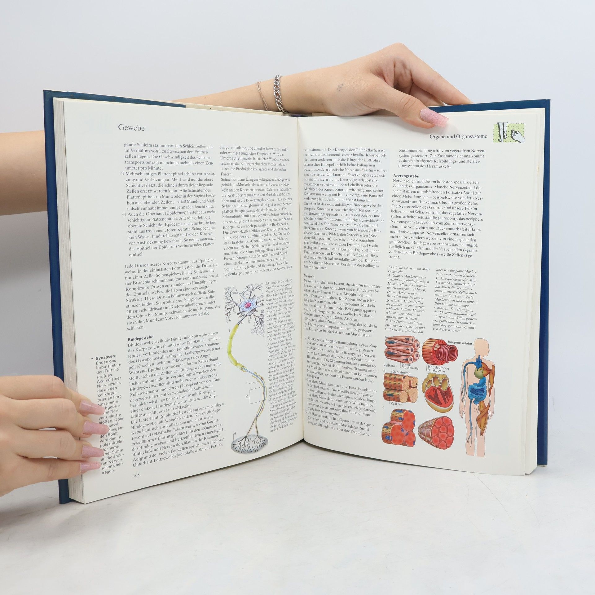 Autores varios Das Buch der Gesundheit