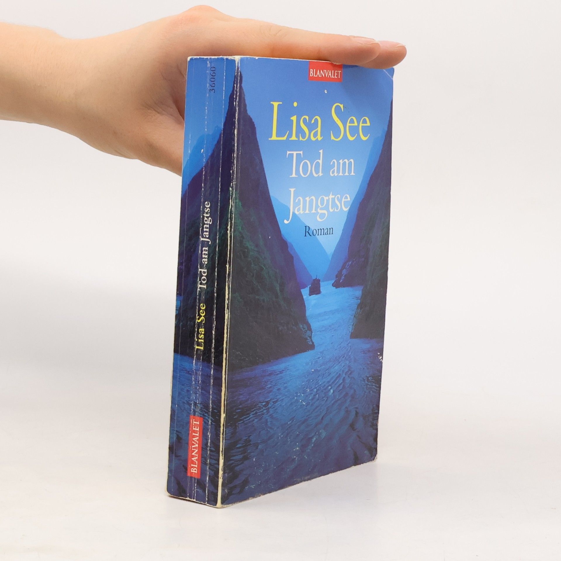 Lisa See Tod am Jangtse