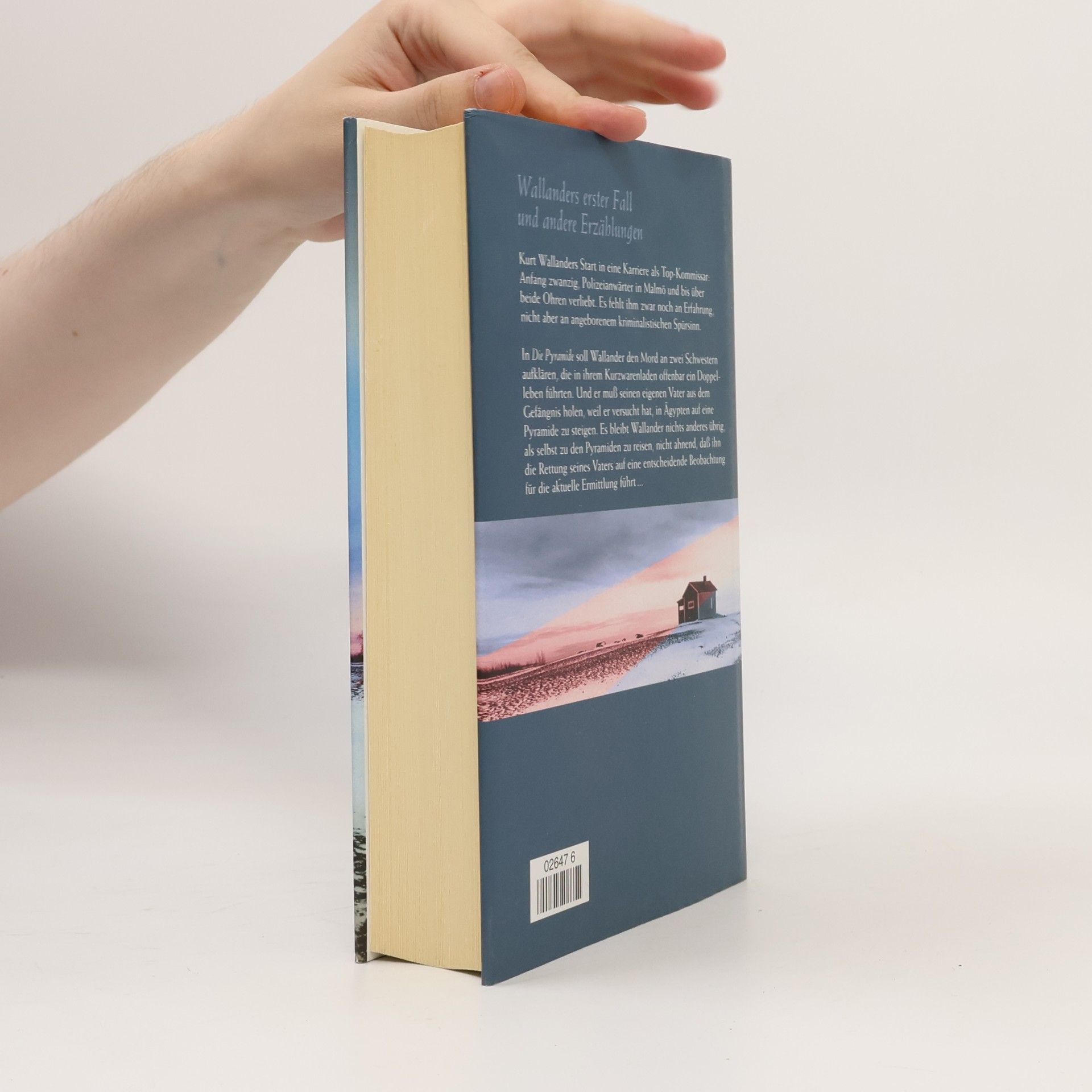 Henning Mankell Wallanders erster Fall