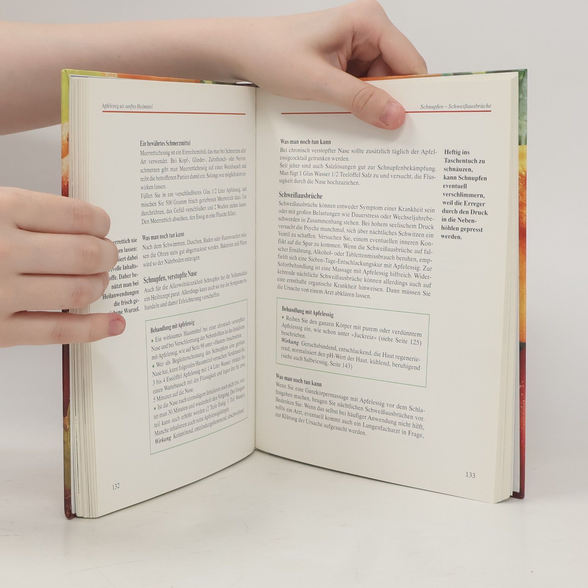 Margot Hellmiß Das grosse Praxisbuch Apfelessig
