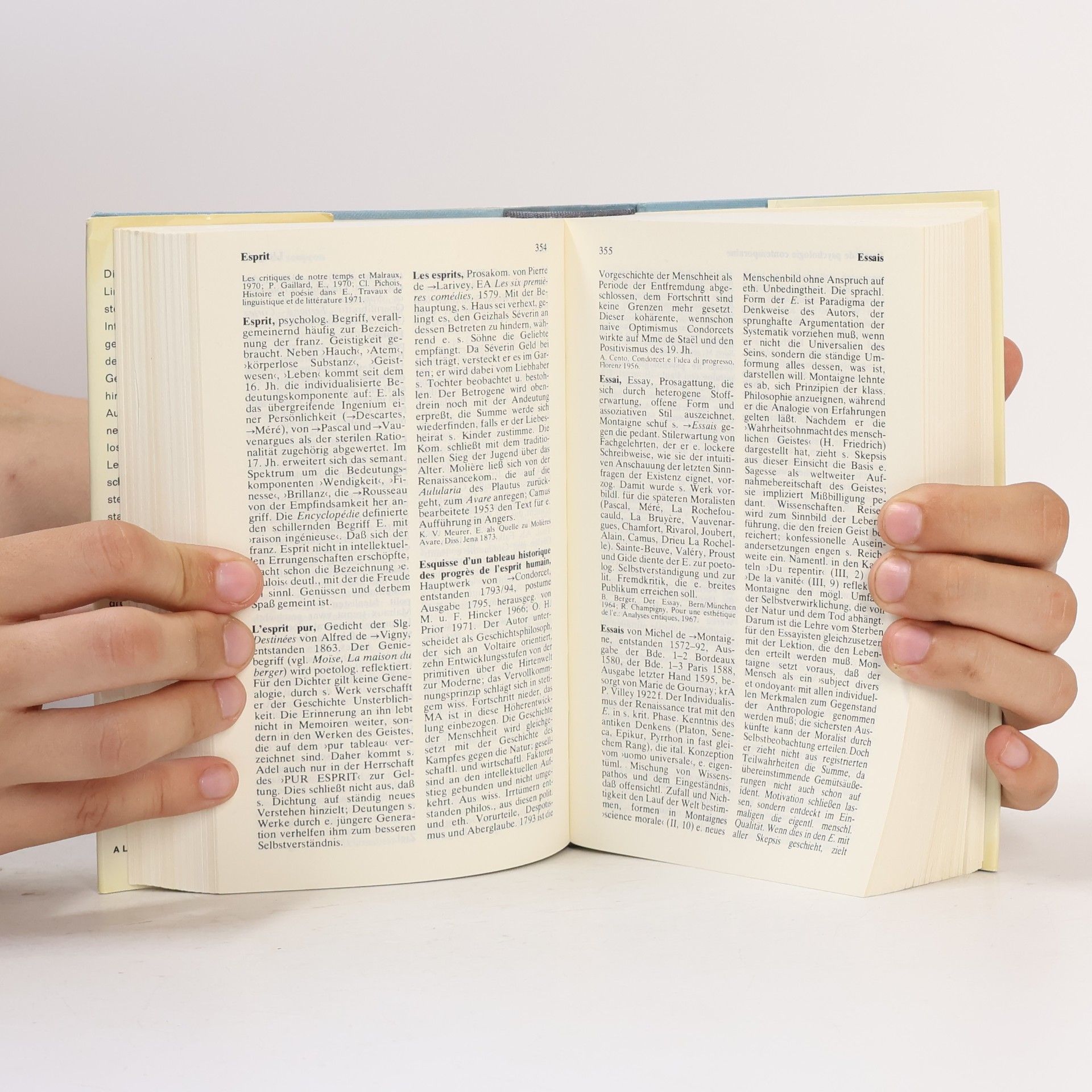 Winfried Engler Lexikon der französischen Literatur