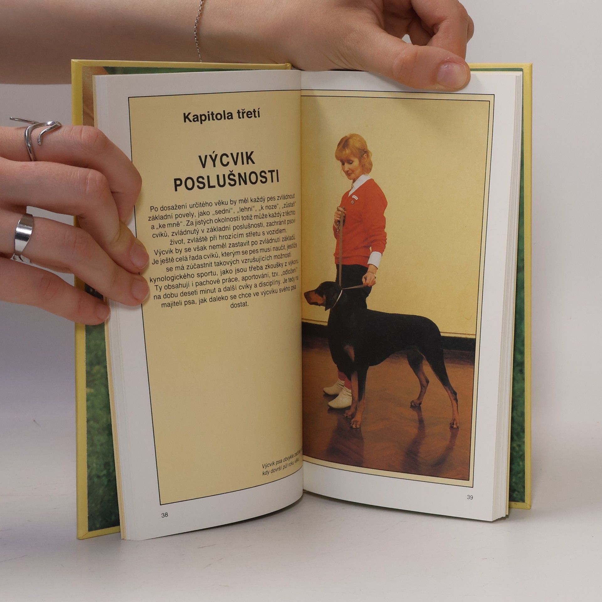 Joan Palmer Výcvik psa : praktická příručka. Všechno, co potřebujete vědět o výcviku svého psa - od výchovy štěněte až po poslušnost ve výstavním kruhu