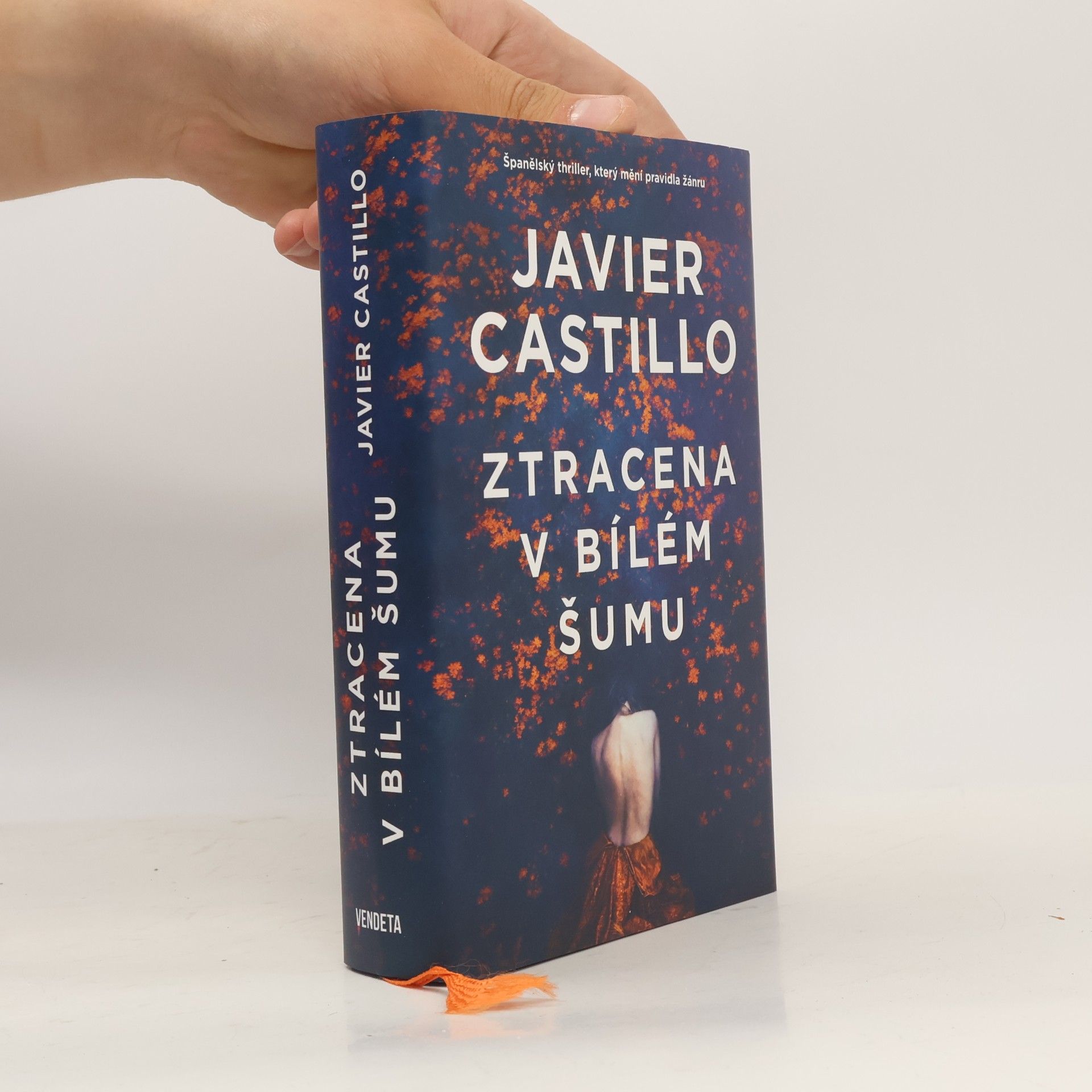 Javier Castillo Ztracena v bílém šumu