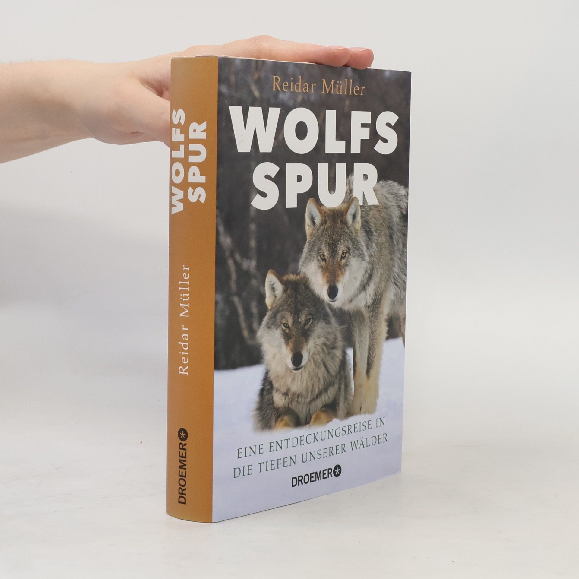 Reidar Müller Wolfsspur