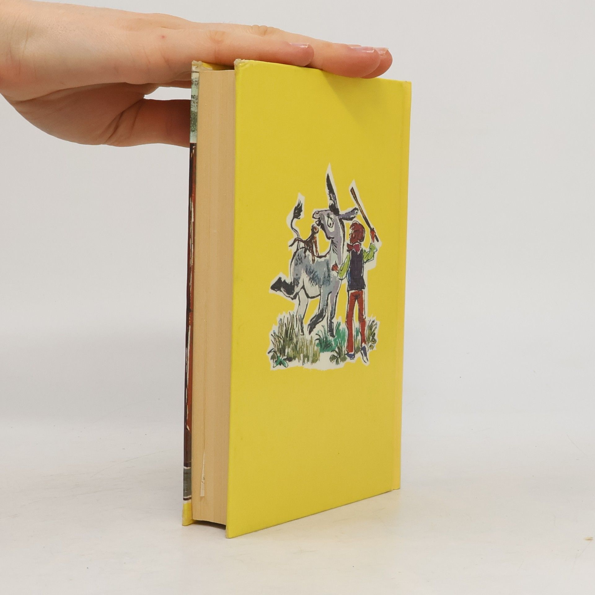 Enid Blyton 5 Freunde und der Zauberer Wu