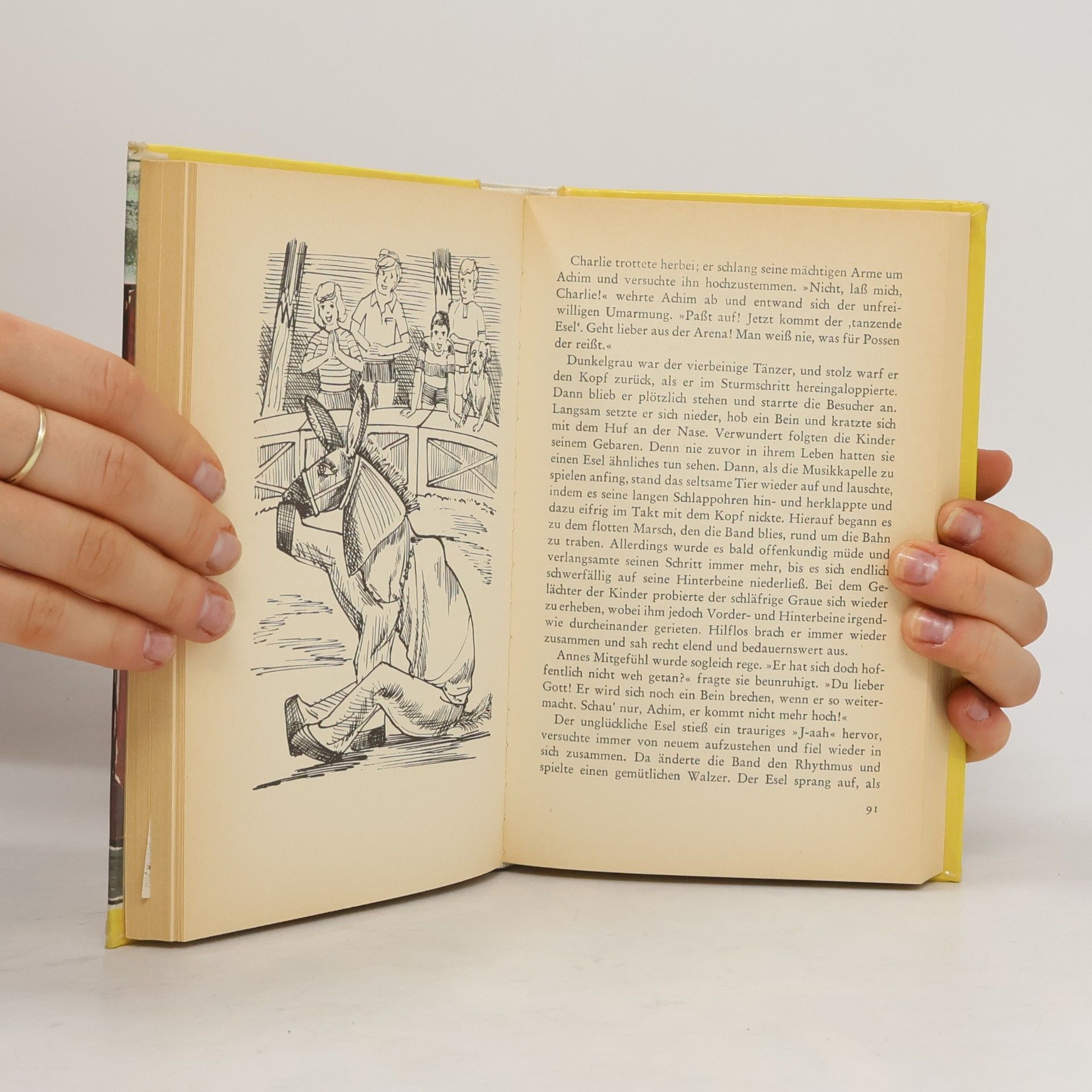 Enid Blyton 5 Freunde und der Zauberer Wu