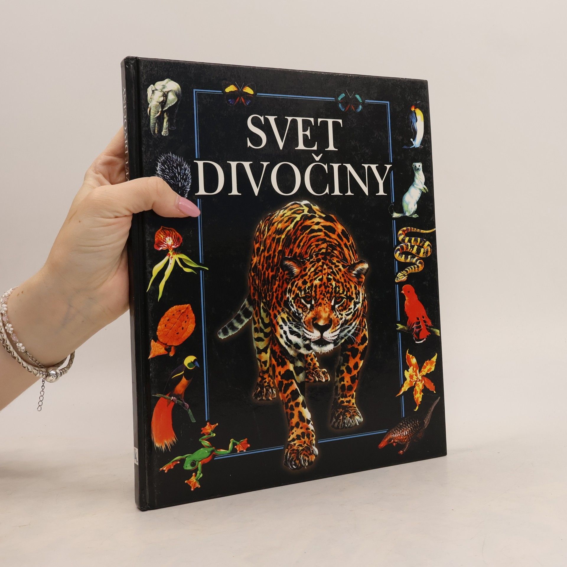 Svet divočiny
