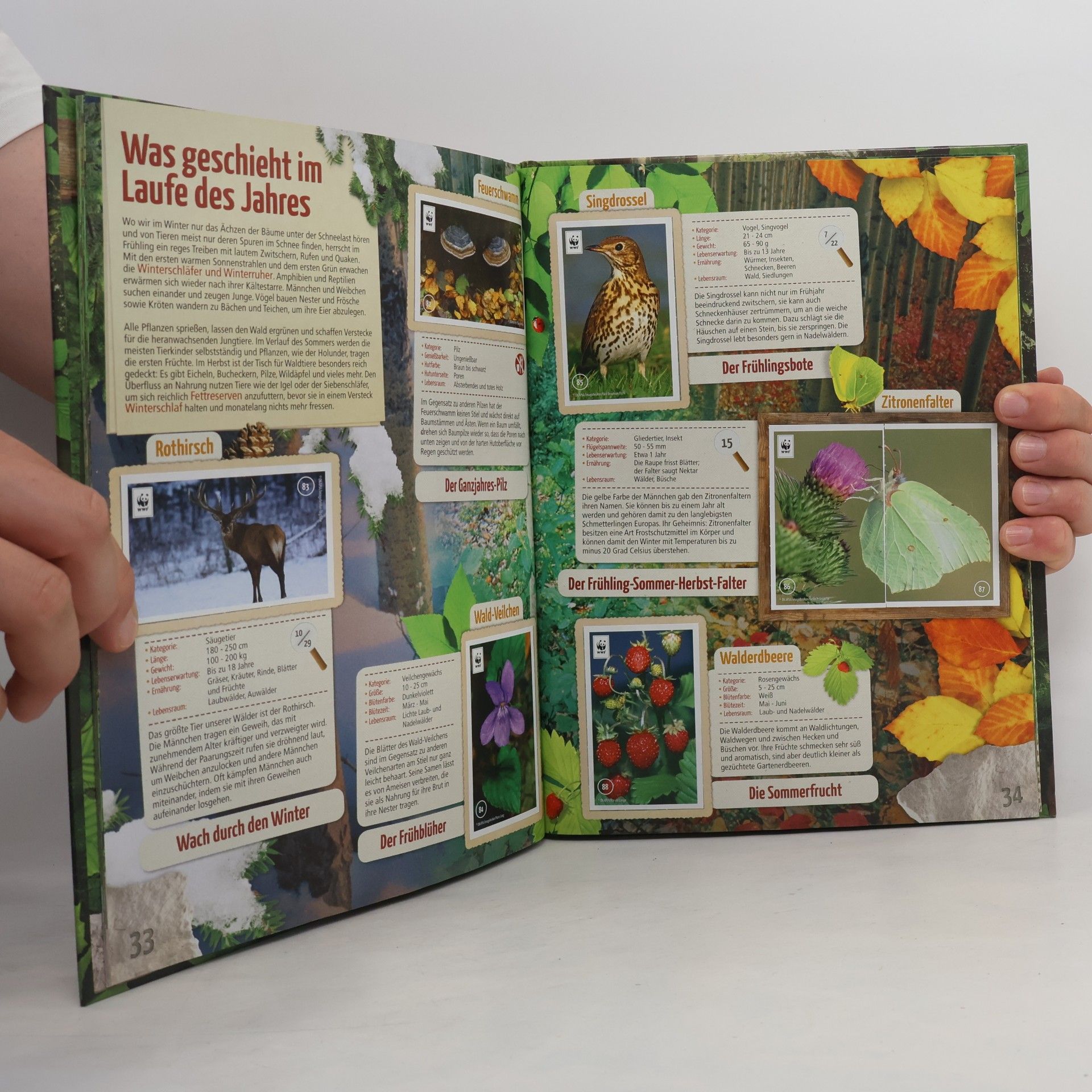 Various authors Unser Wald. Abenteuerbuch
