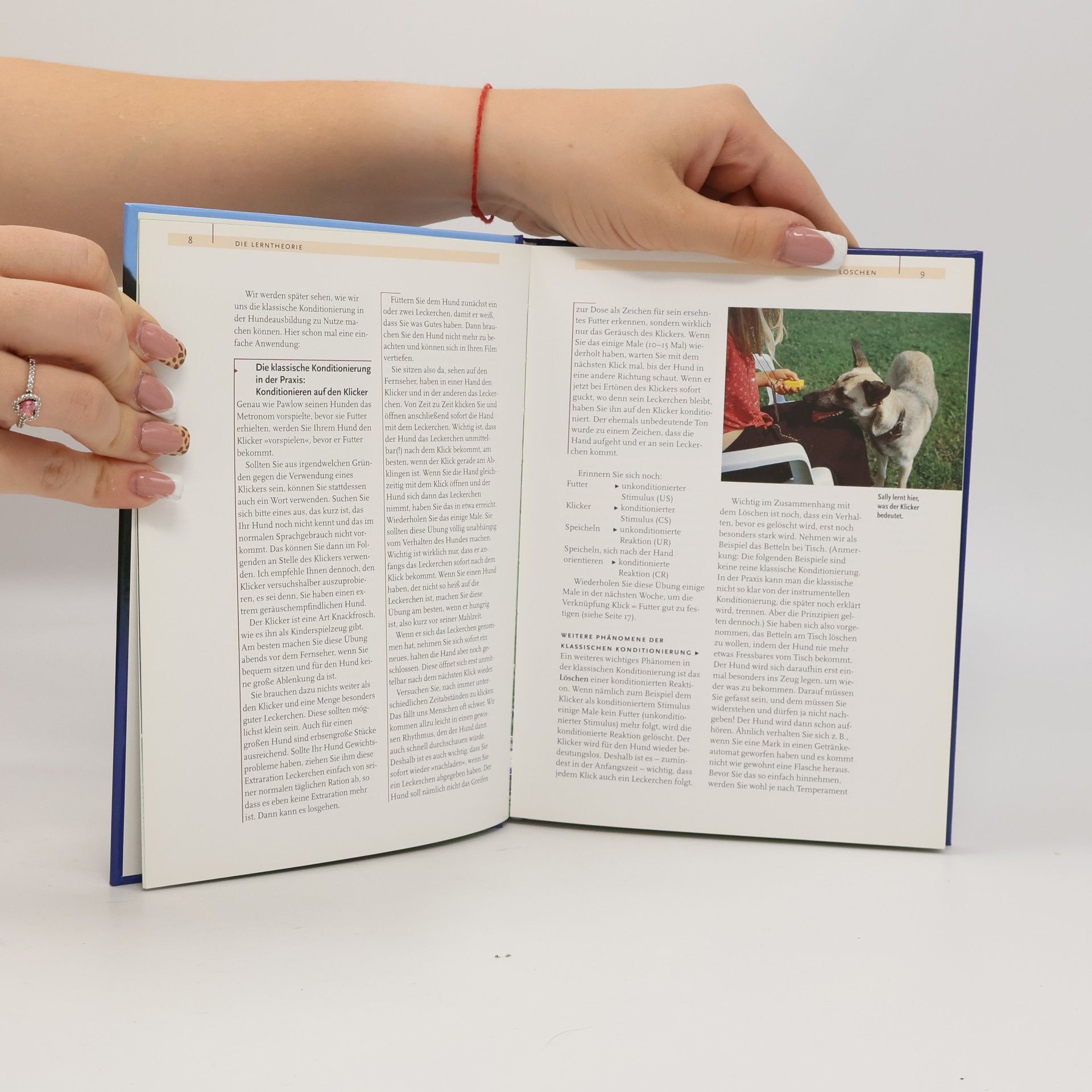Viviane Theby Hundeschule