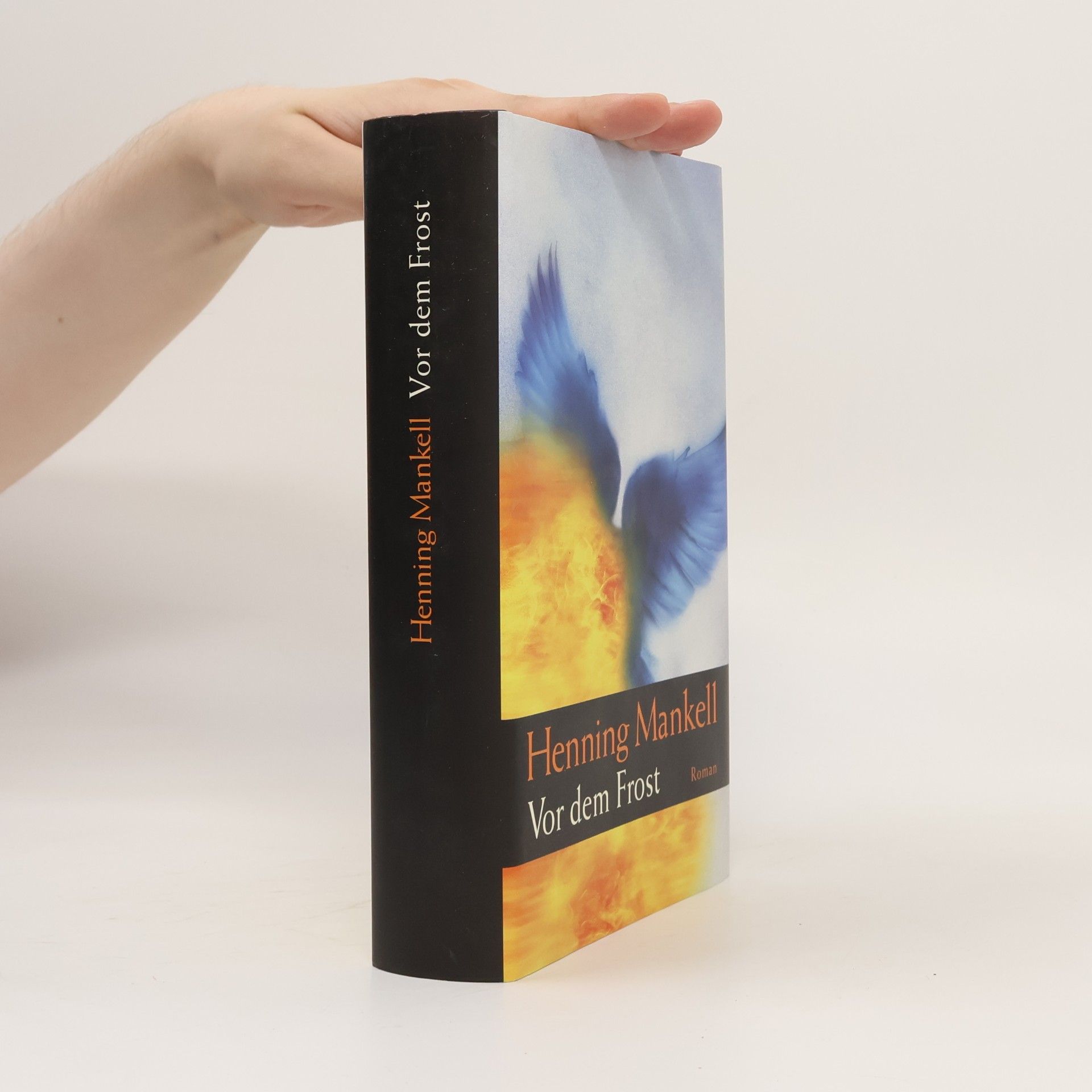 Henning Mankell Vor dem Frost