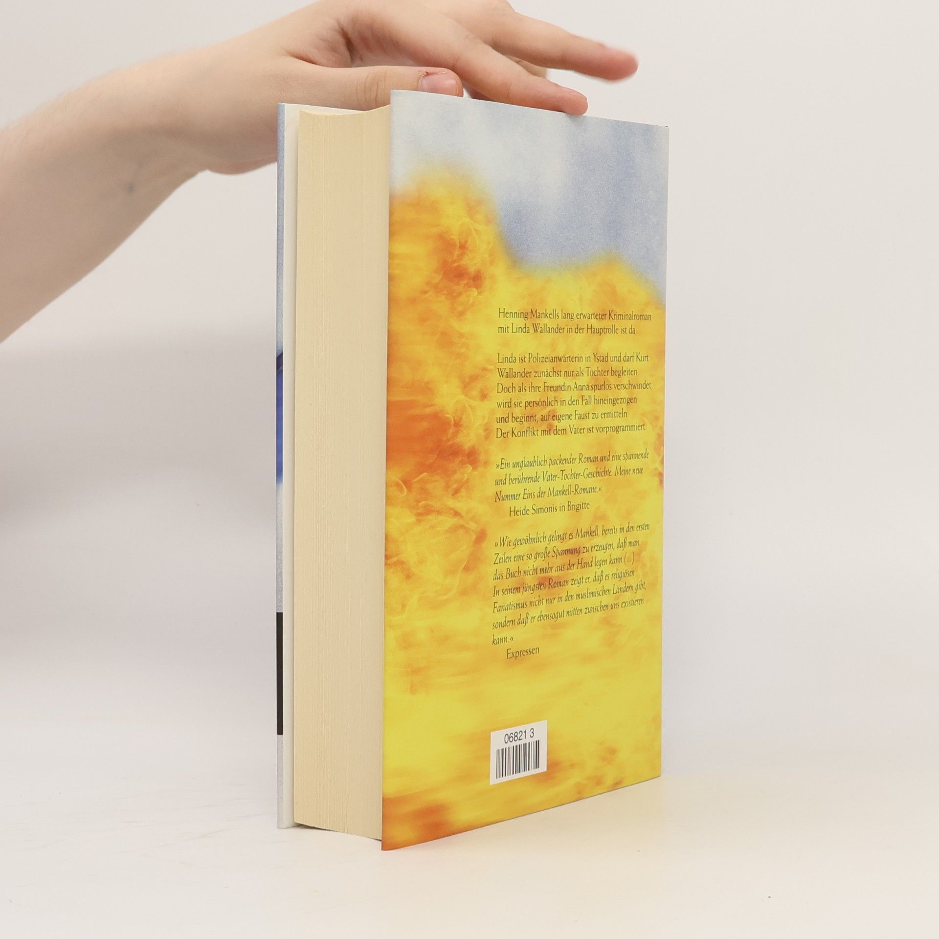 Henning Mankell Vor dem Frost