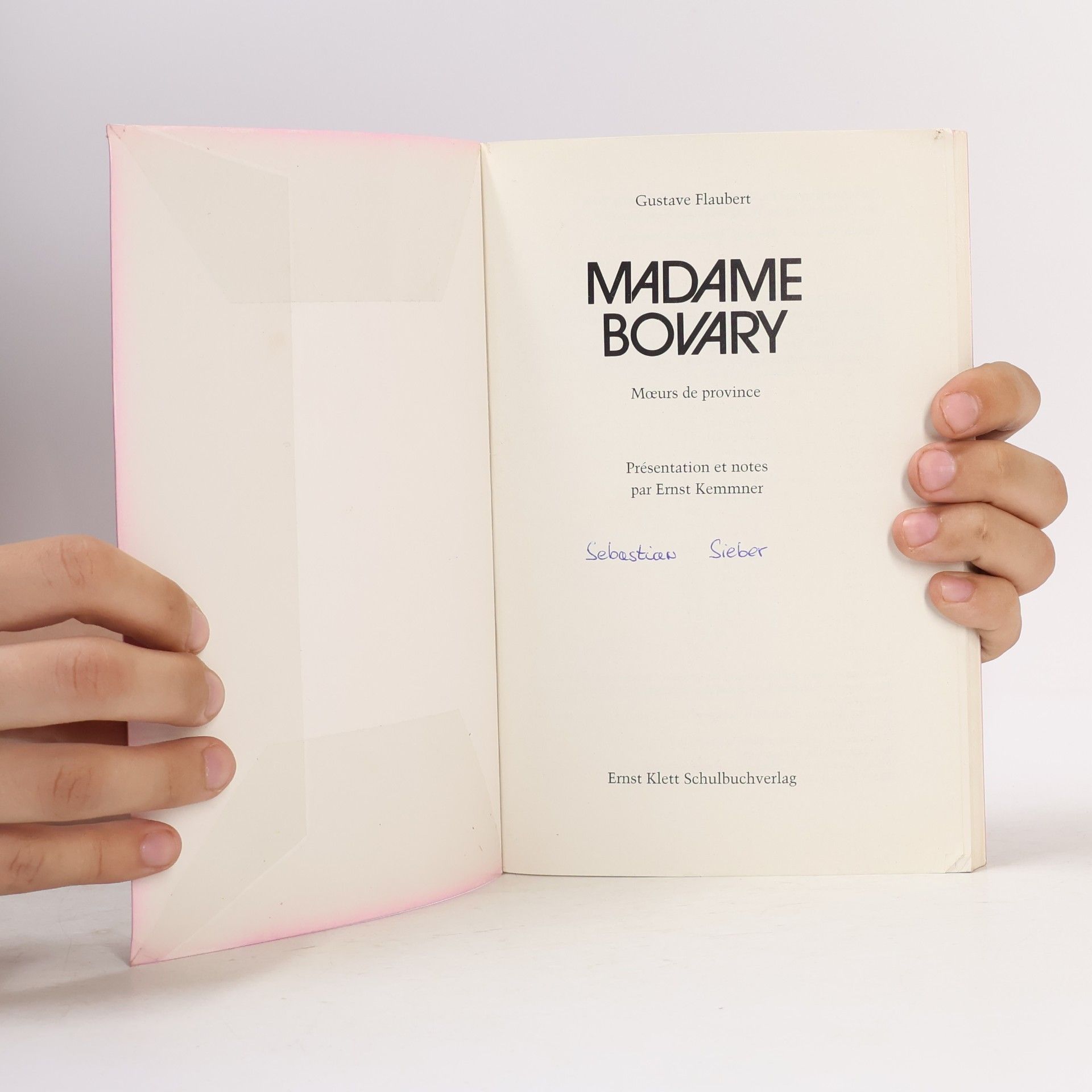 Gustave Flaubert Madame Bovary