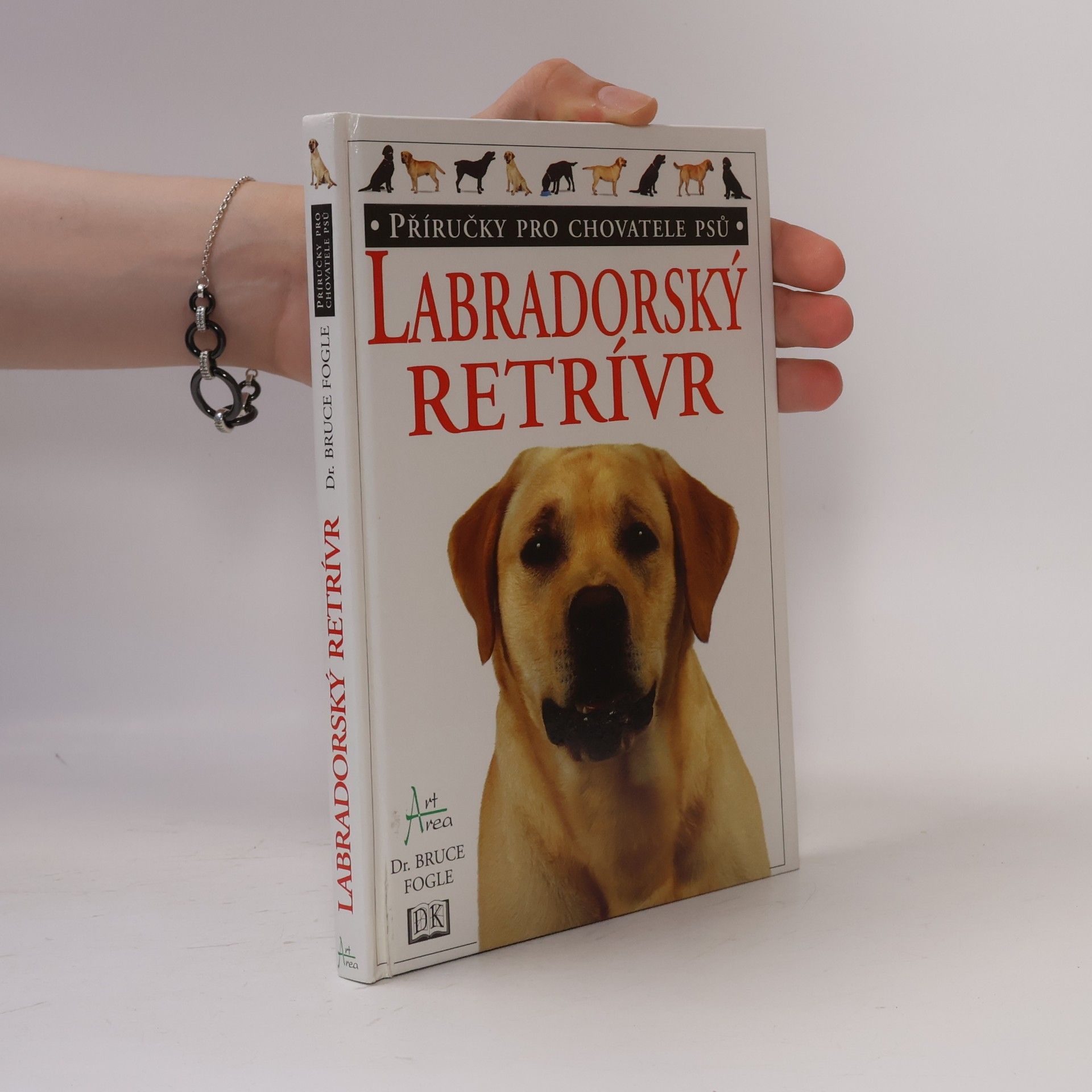 Labradorský retrívr