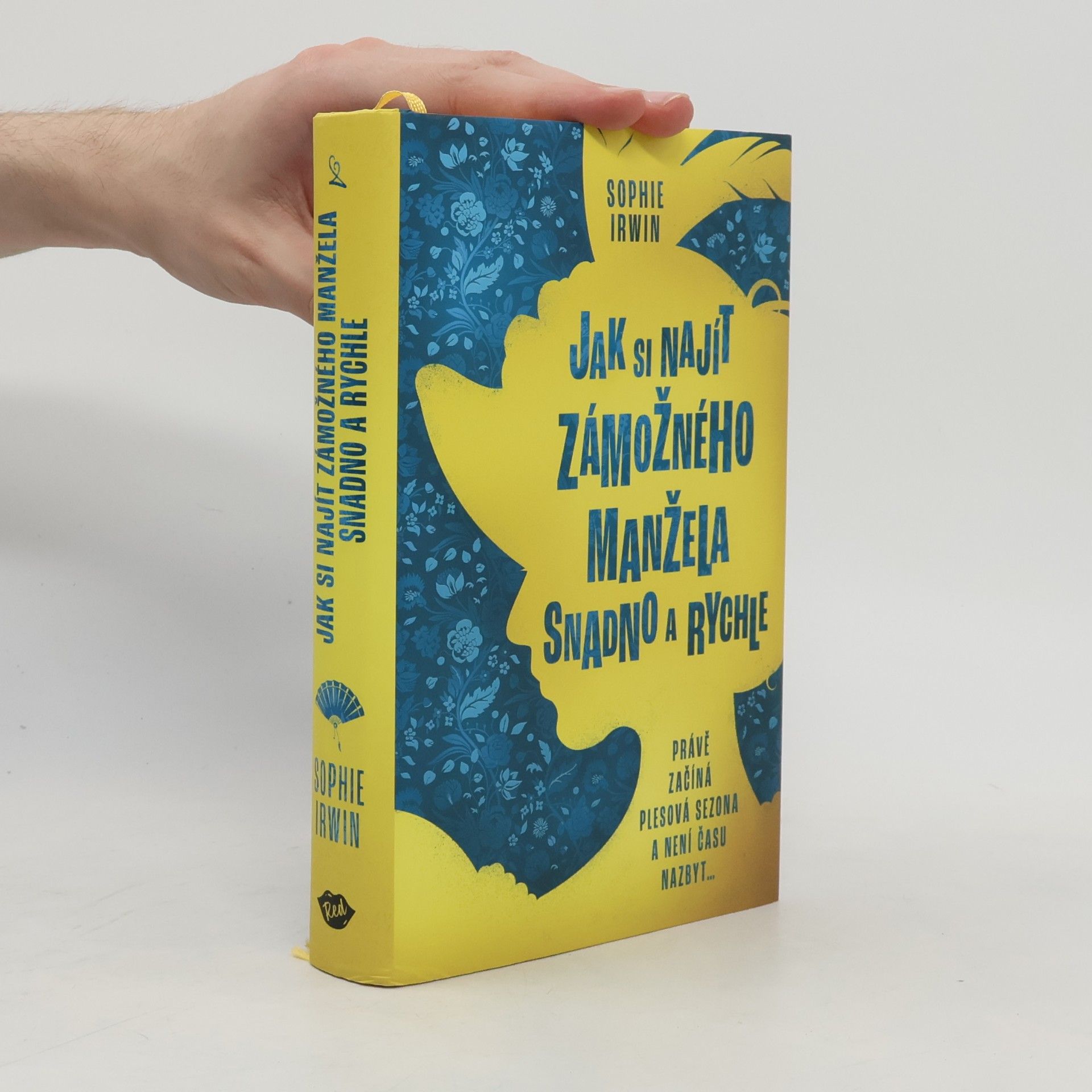 Sophie Irwin Jak si najít zámožného manžela snadno a rychle