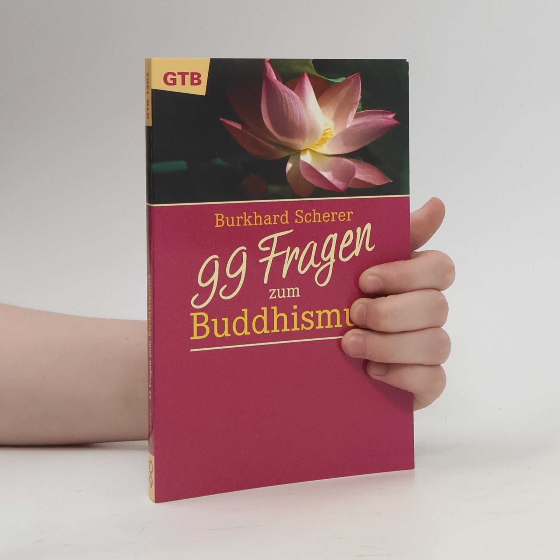 Burkhard Scherer 99 Fragen zum Buddhismus