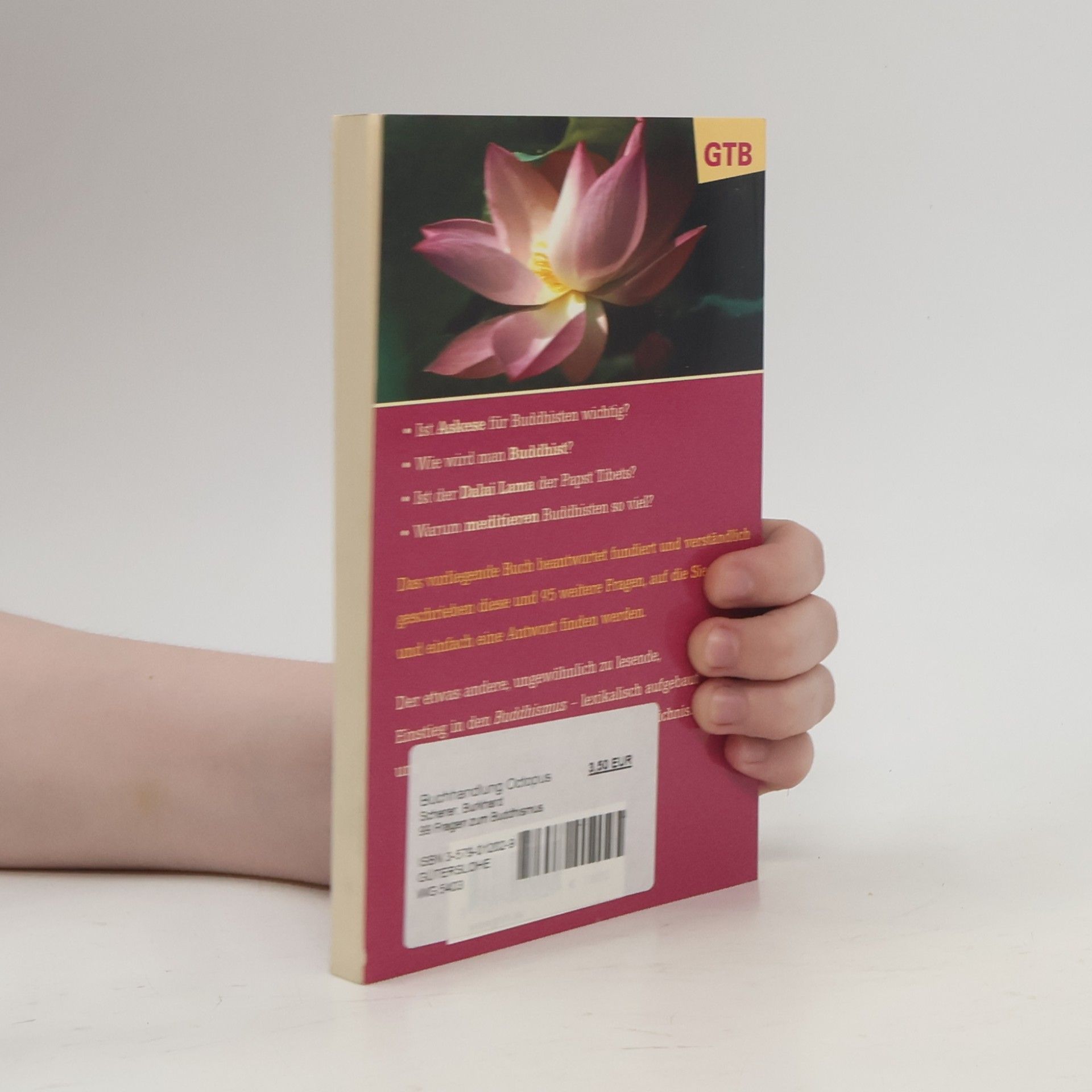 Burkhard Scherer 99 Fragen zum Buddhismus