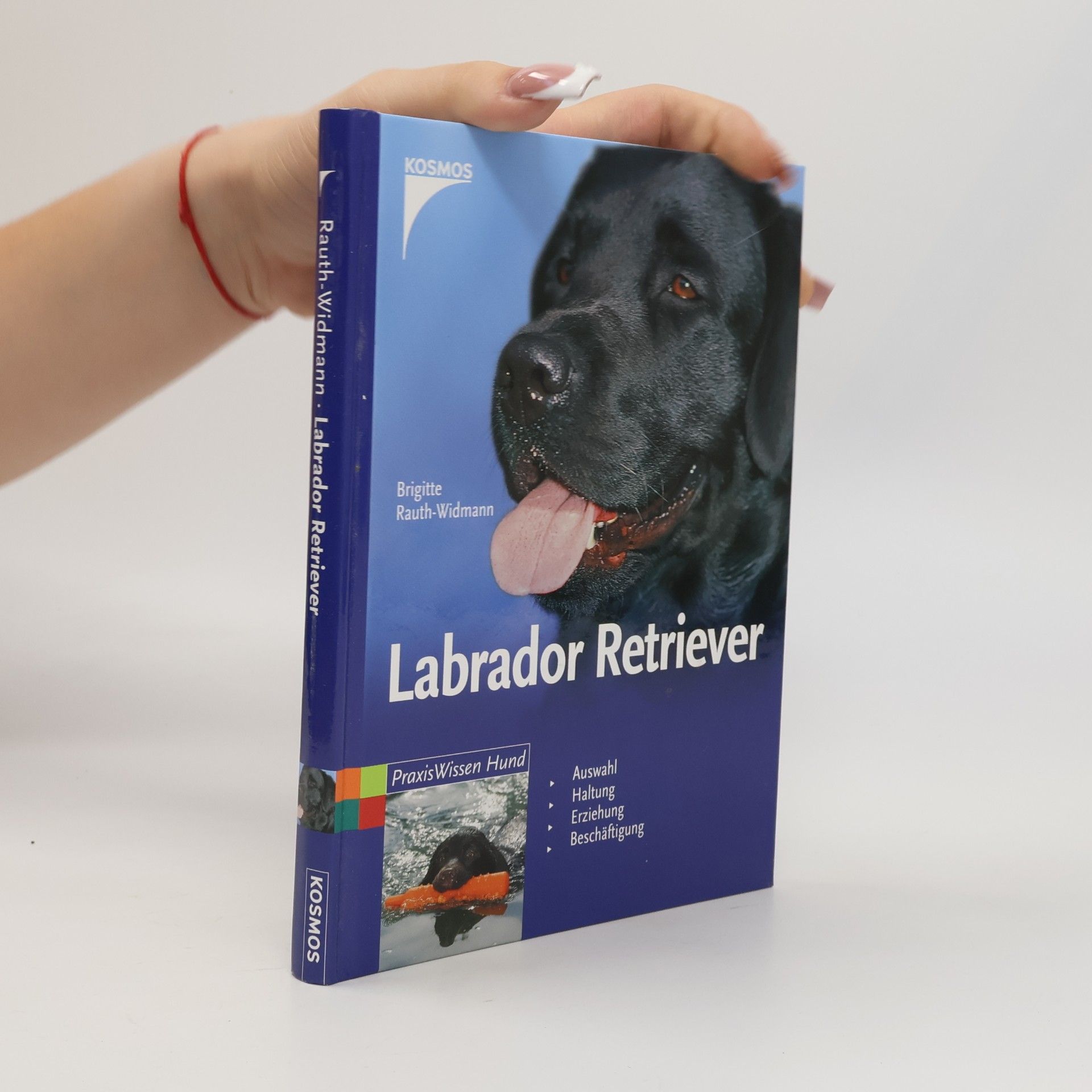 Labrador