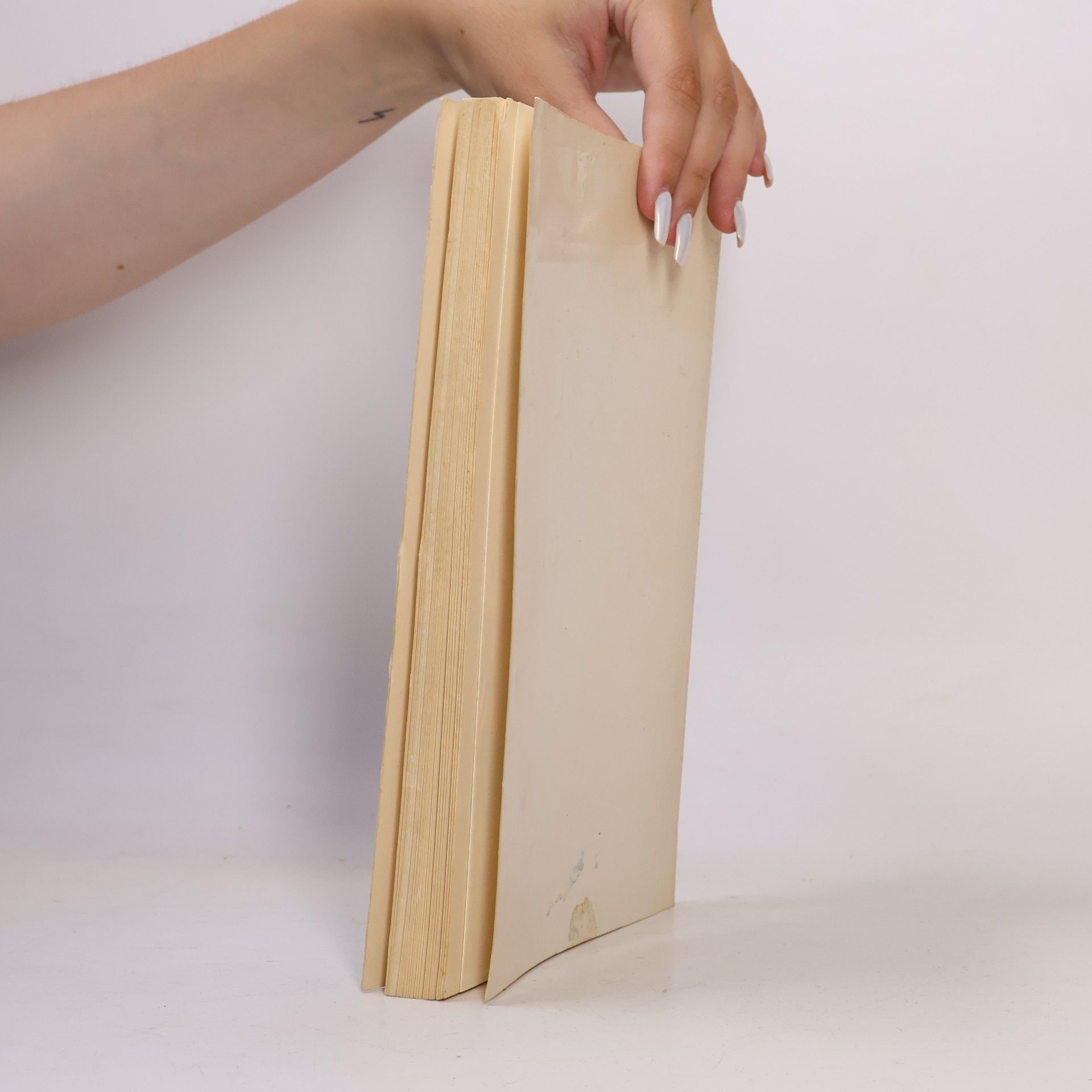 Collectif d'auteurs Weissbuch 1969