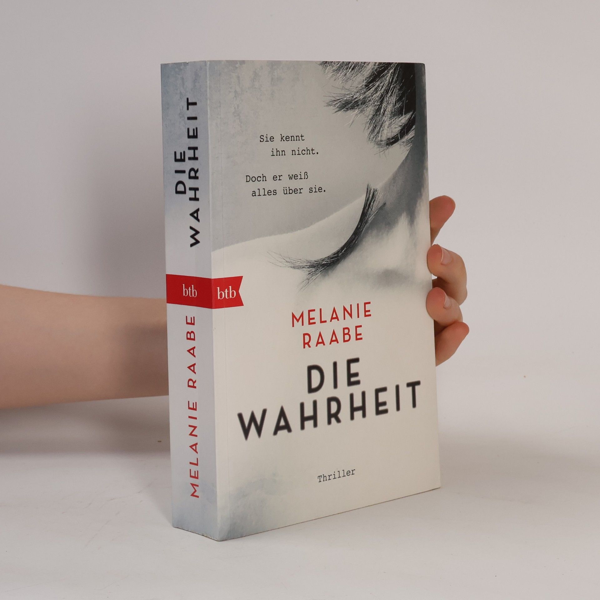 Melanie Raabe Die Wahrheit