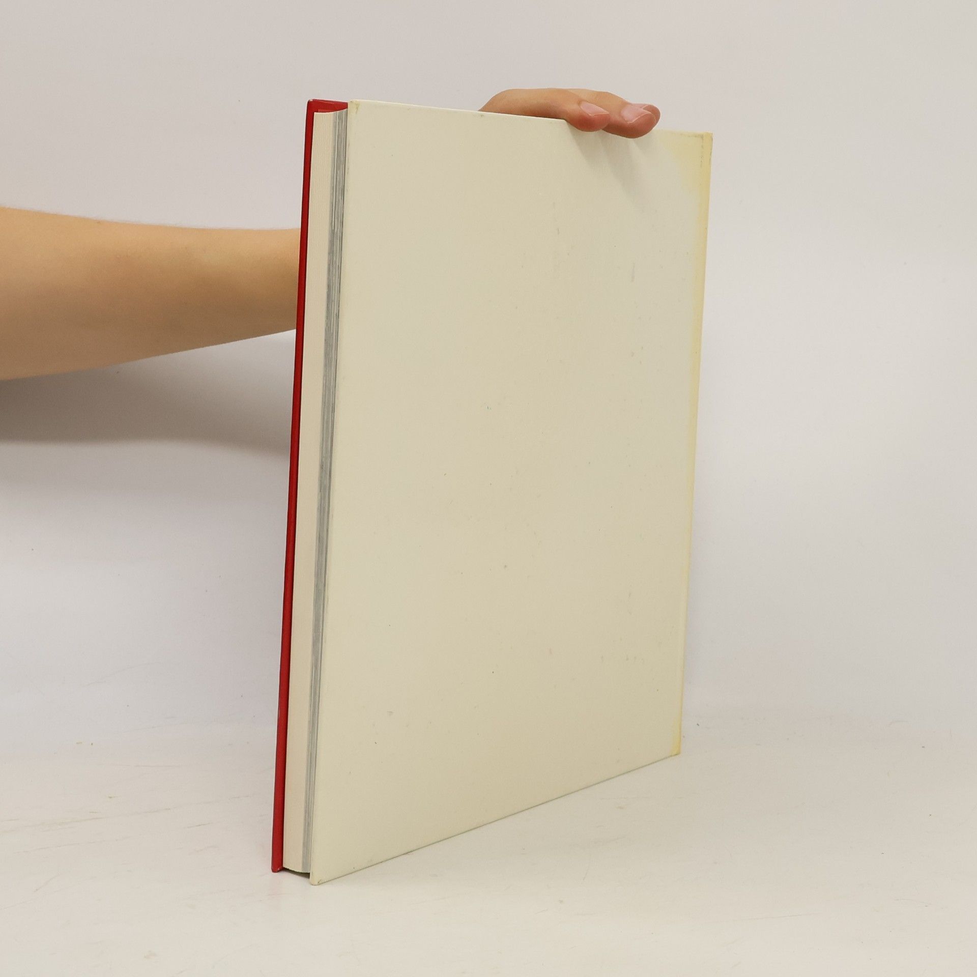 Autorenkollektiv Stadtbuch Imst
