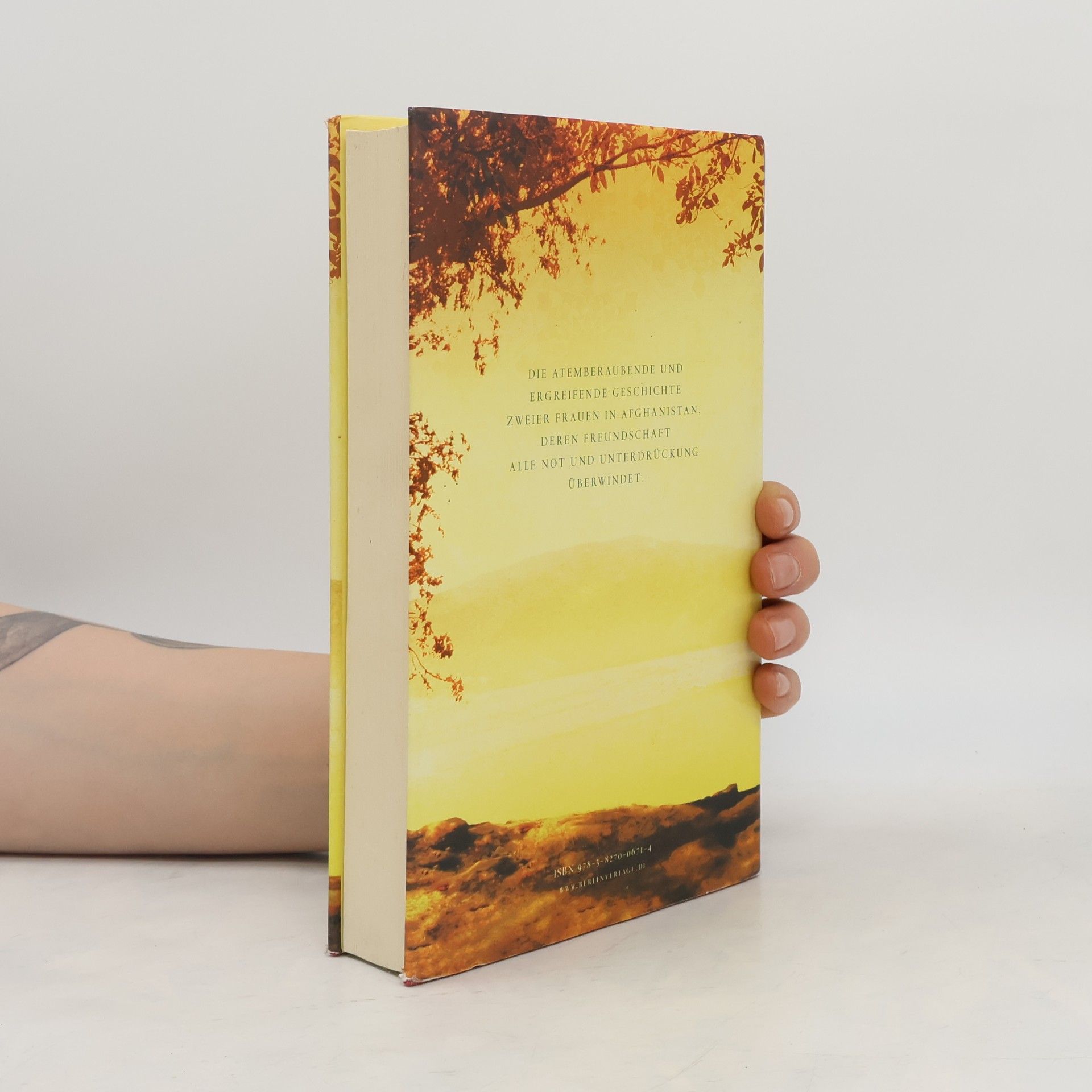 Khaled Hosseini Tausend strahlende Sonnen