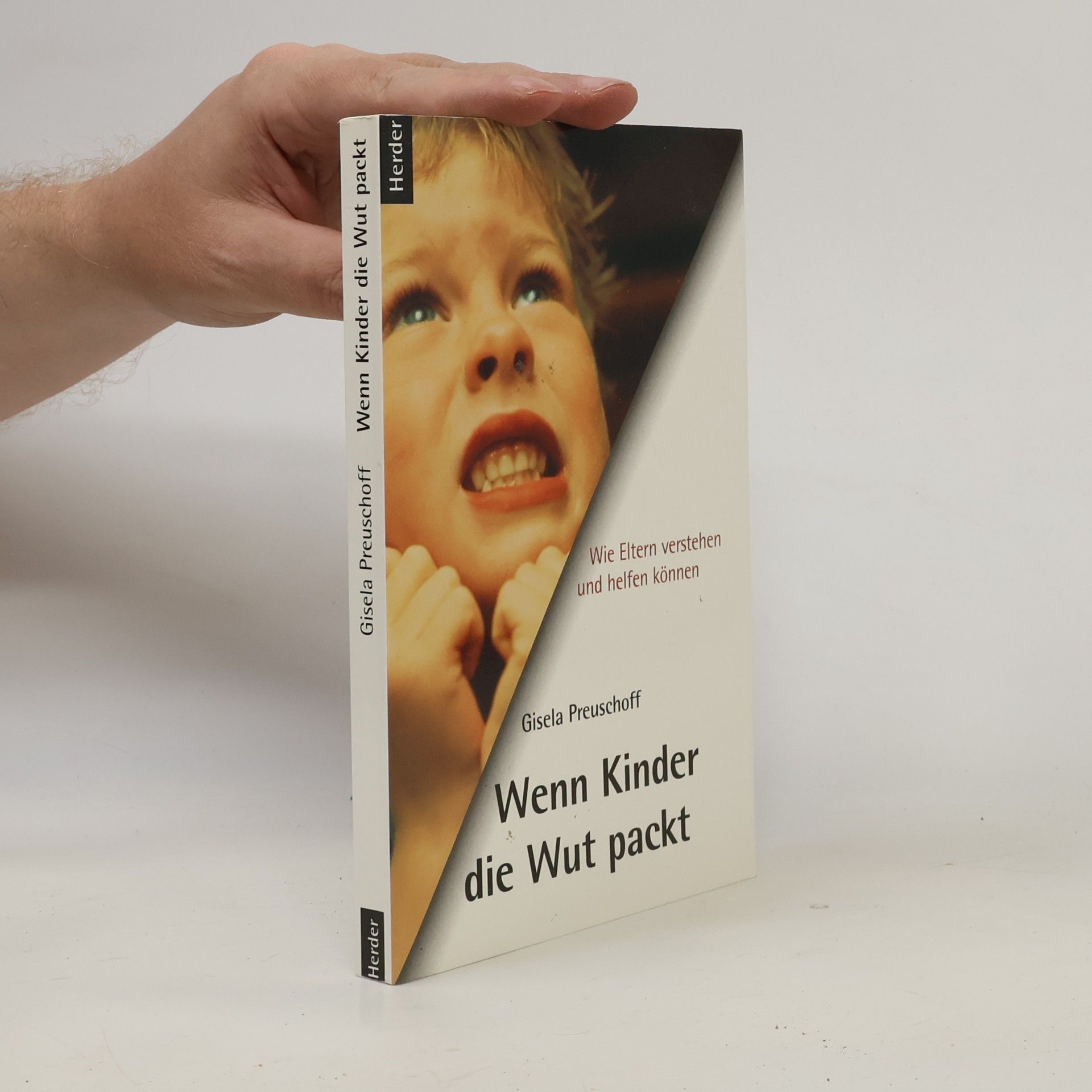 Gisela Preuschoff Wenn Kinder die Wut packt