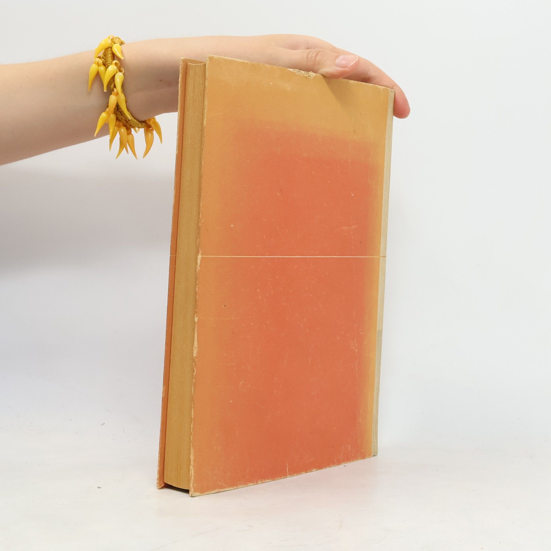 Anna Siemsen Literarische Streifzüge