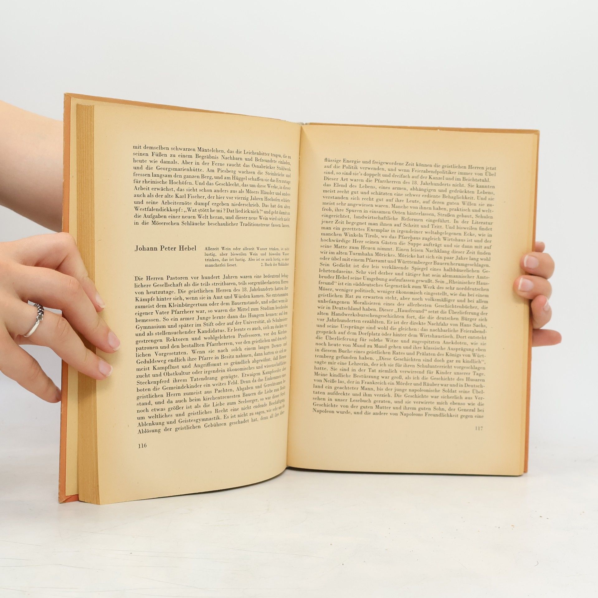 Anna Siemsen Literarische Streifzüge