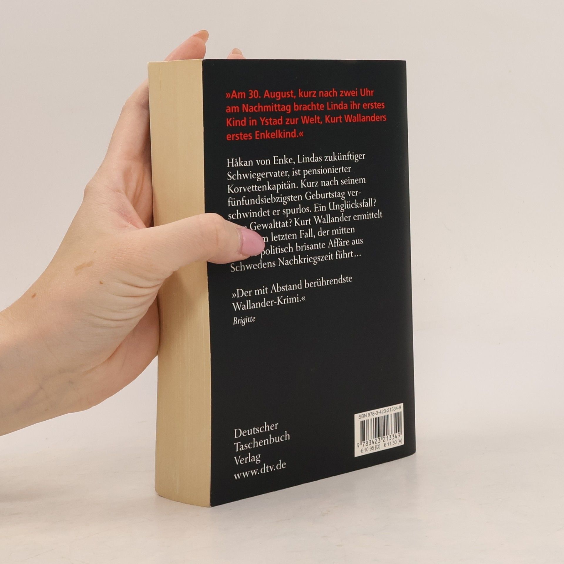 Henning Mankell Der Feind im Schatten