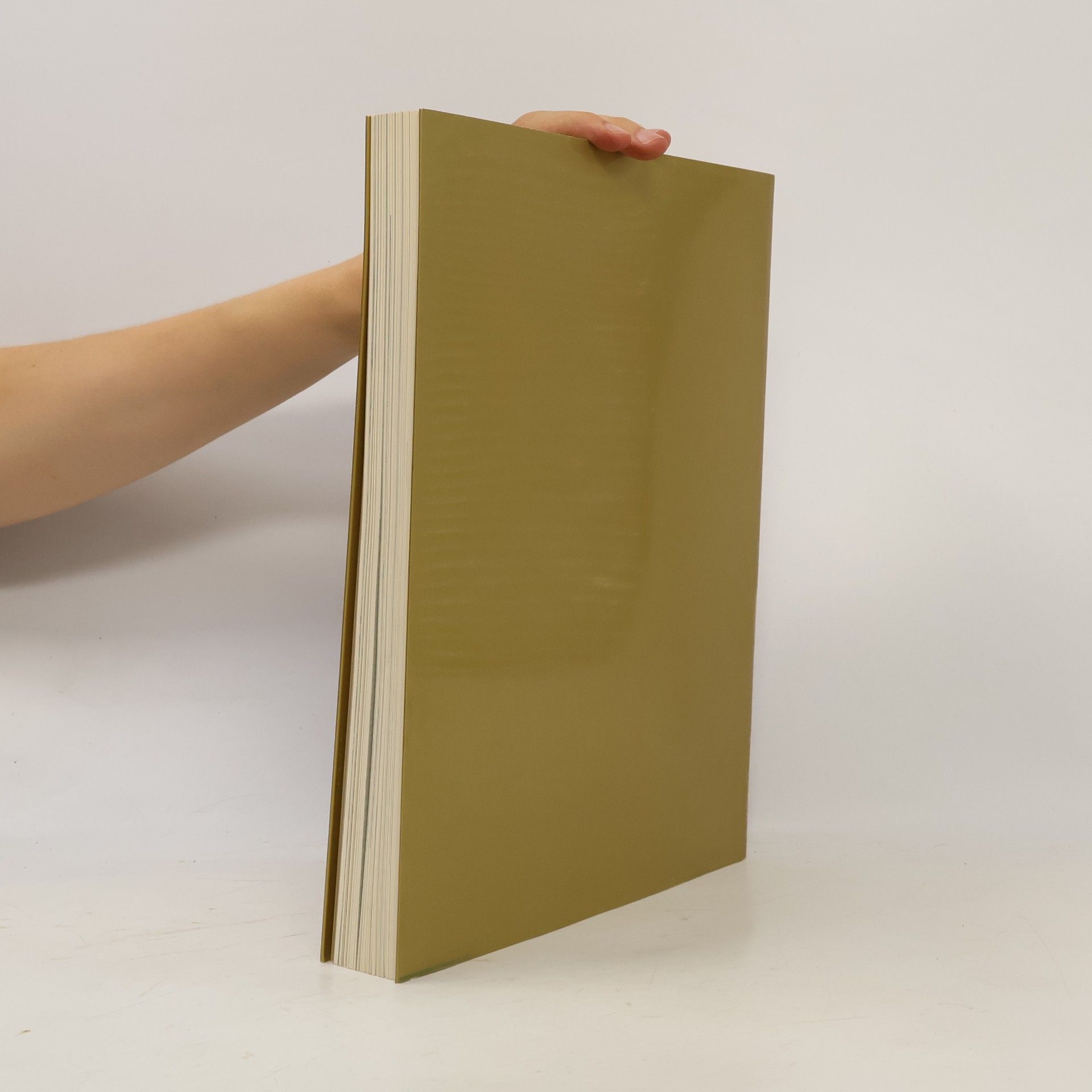 Various authors Shogun. Kunstschätze und Lebensstil eines japanischen Fürsten der Shogun-Zeit