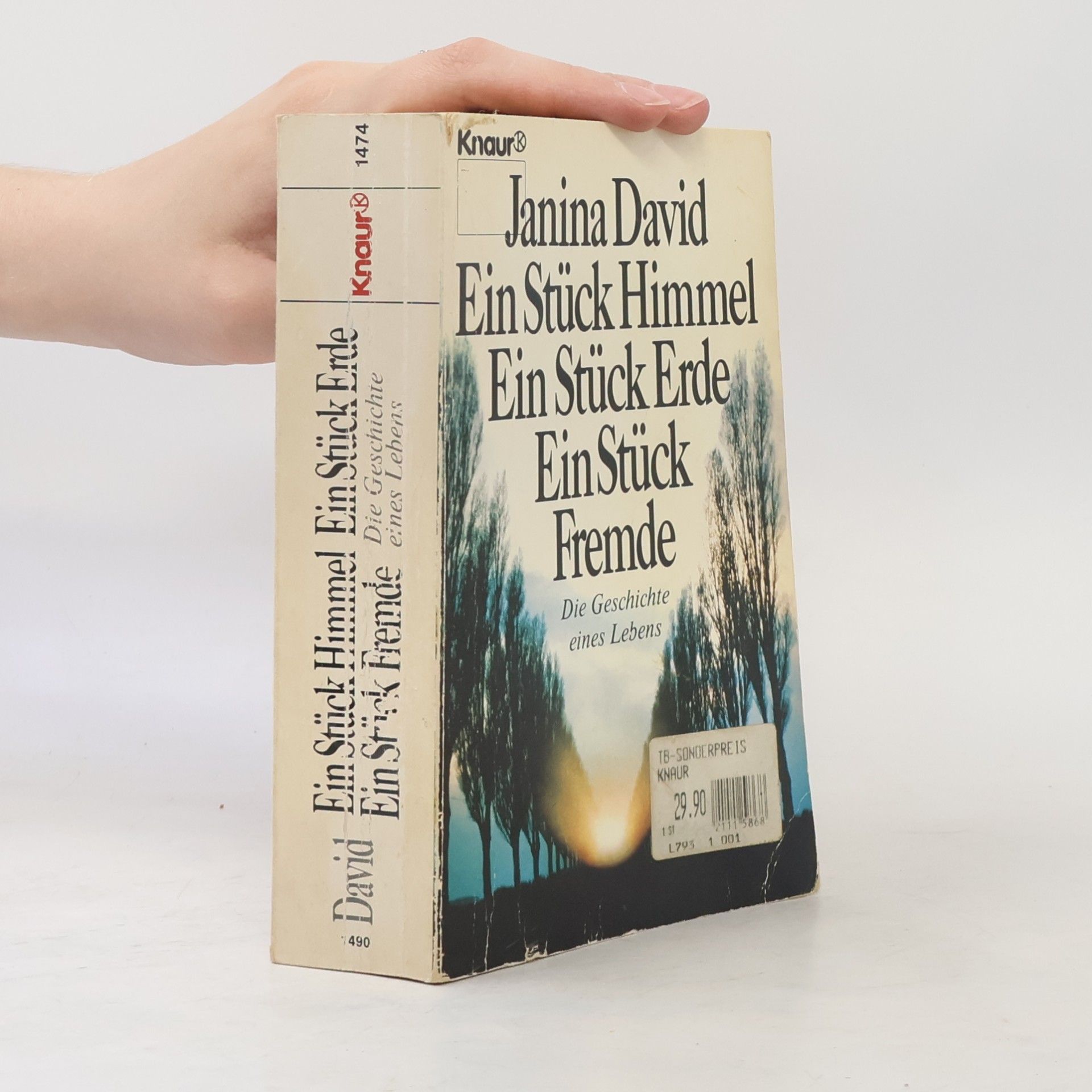 Janina David Ein Stück Himmel