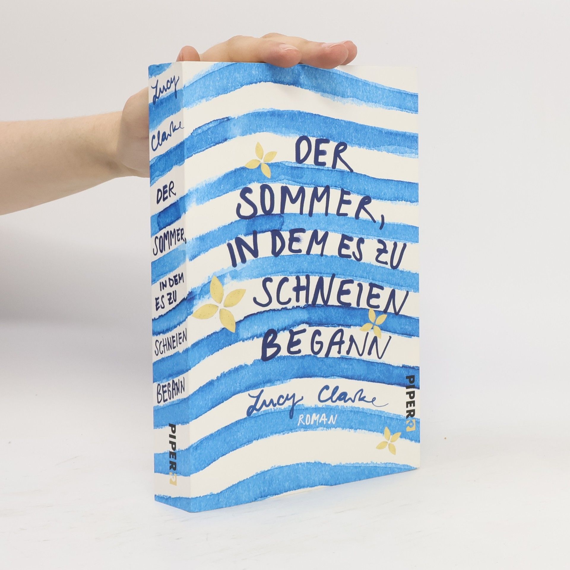 Lucy Clarke Der Sommer, in dem es zu schneien begann