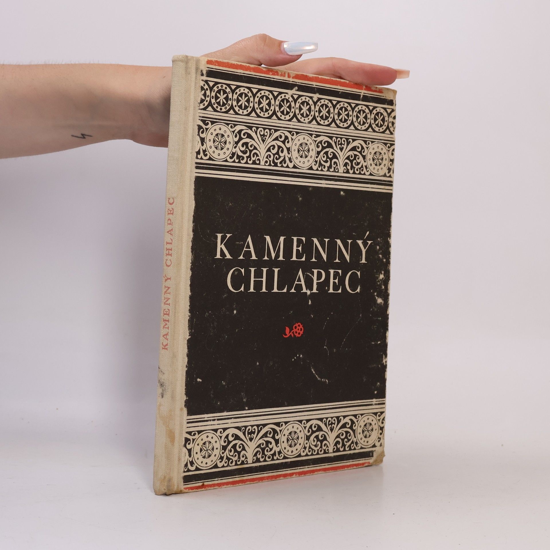 František Holešovský Kamenný chlapec
