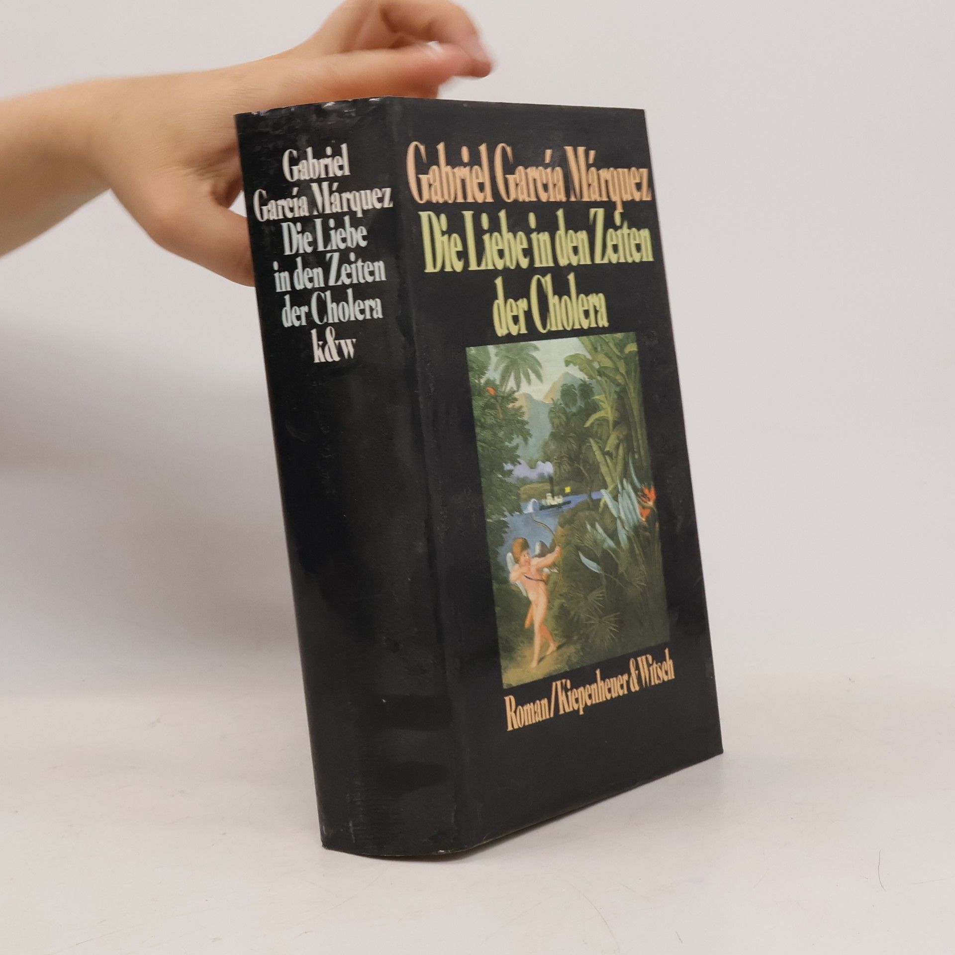 Gabriel García Márquez Die Liebe in den Zeiten der Cholera