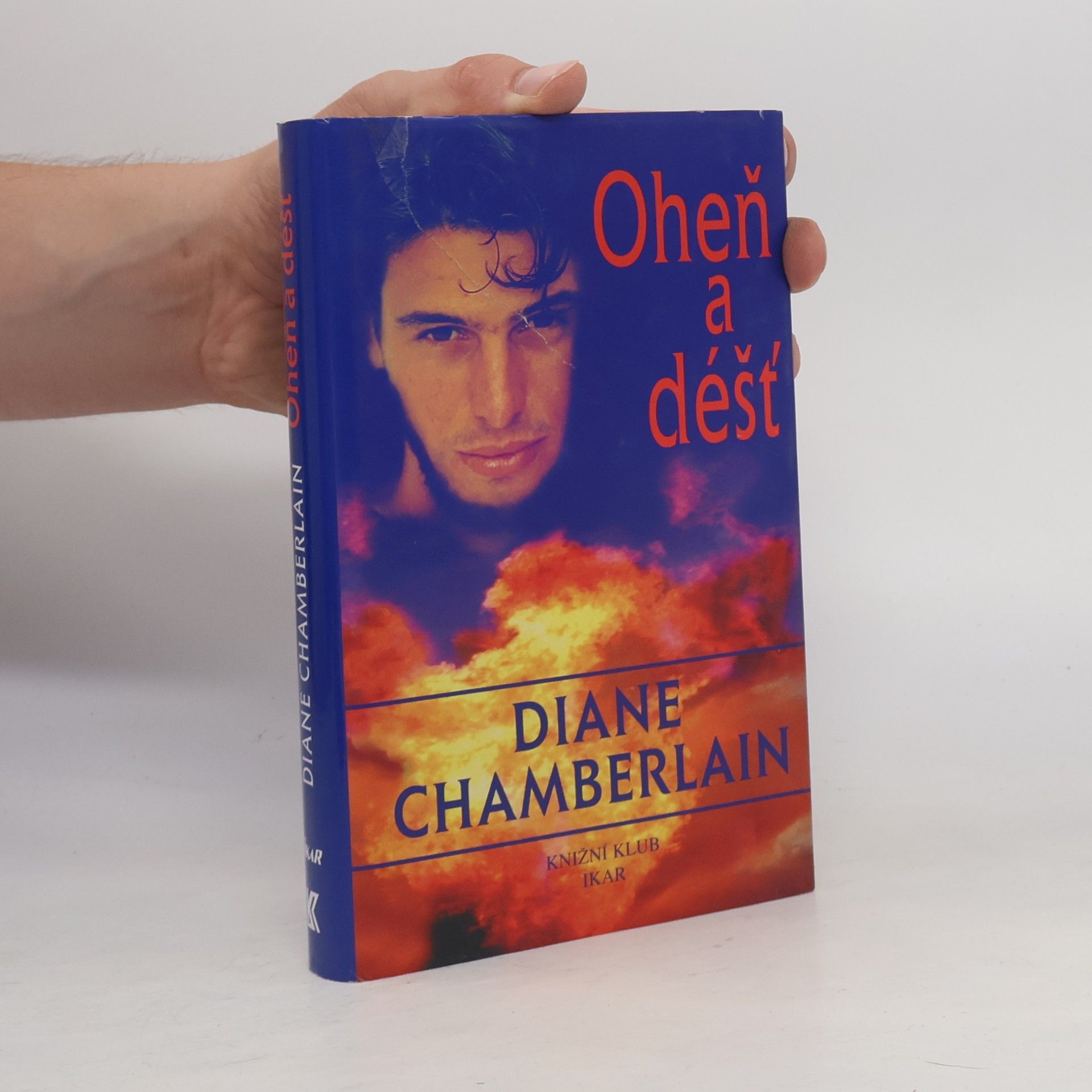 Diane Chamberlain Oheň a déšť