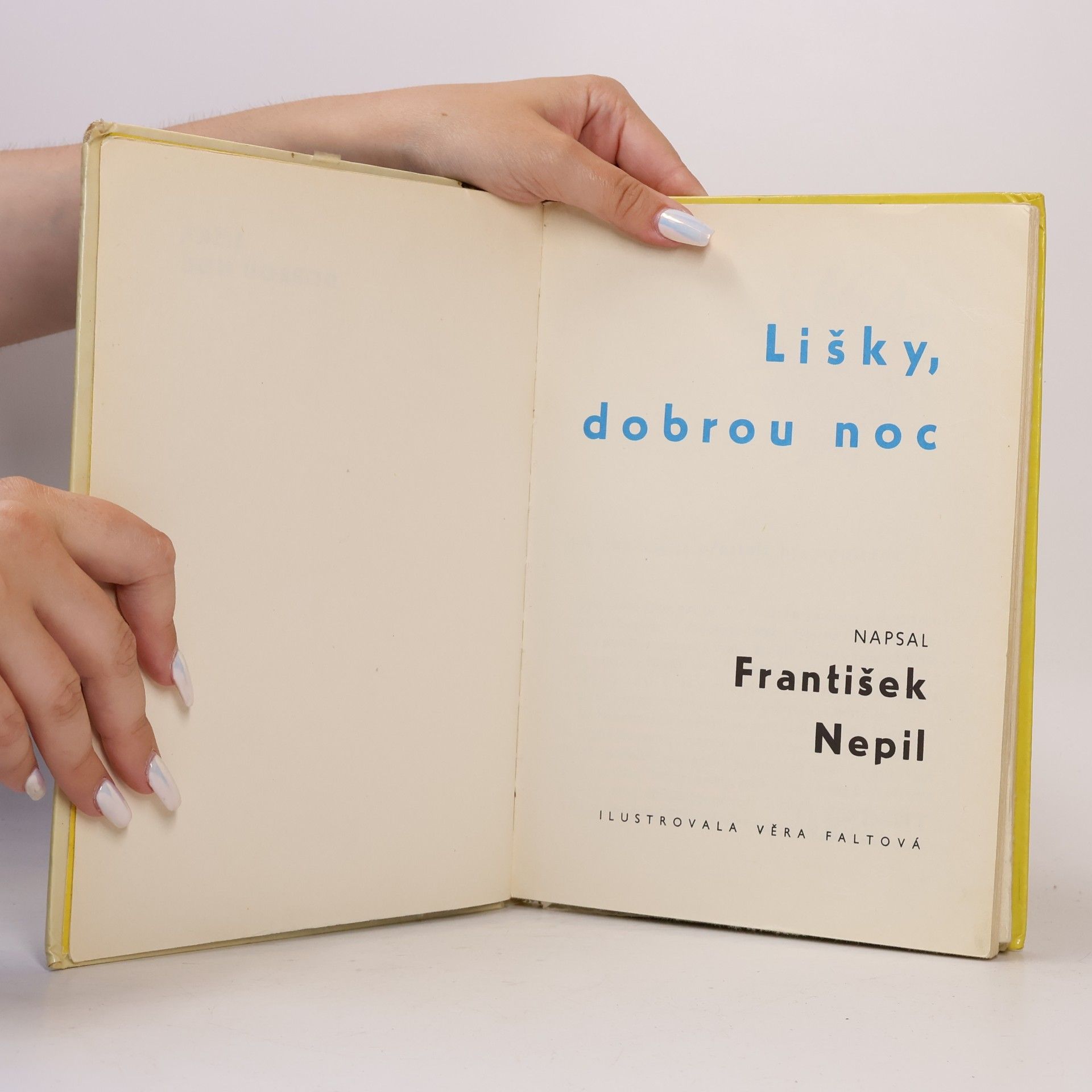 František Nepil Lišky, dobrou noc