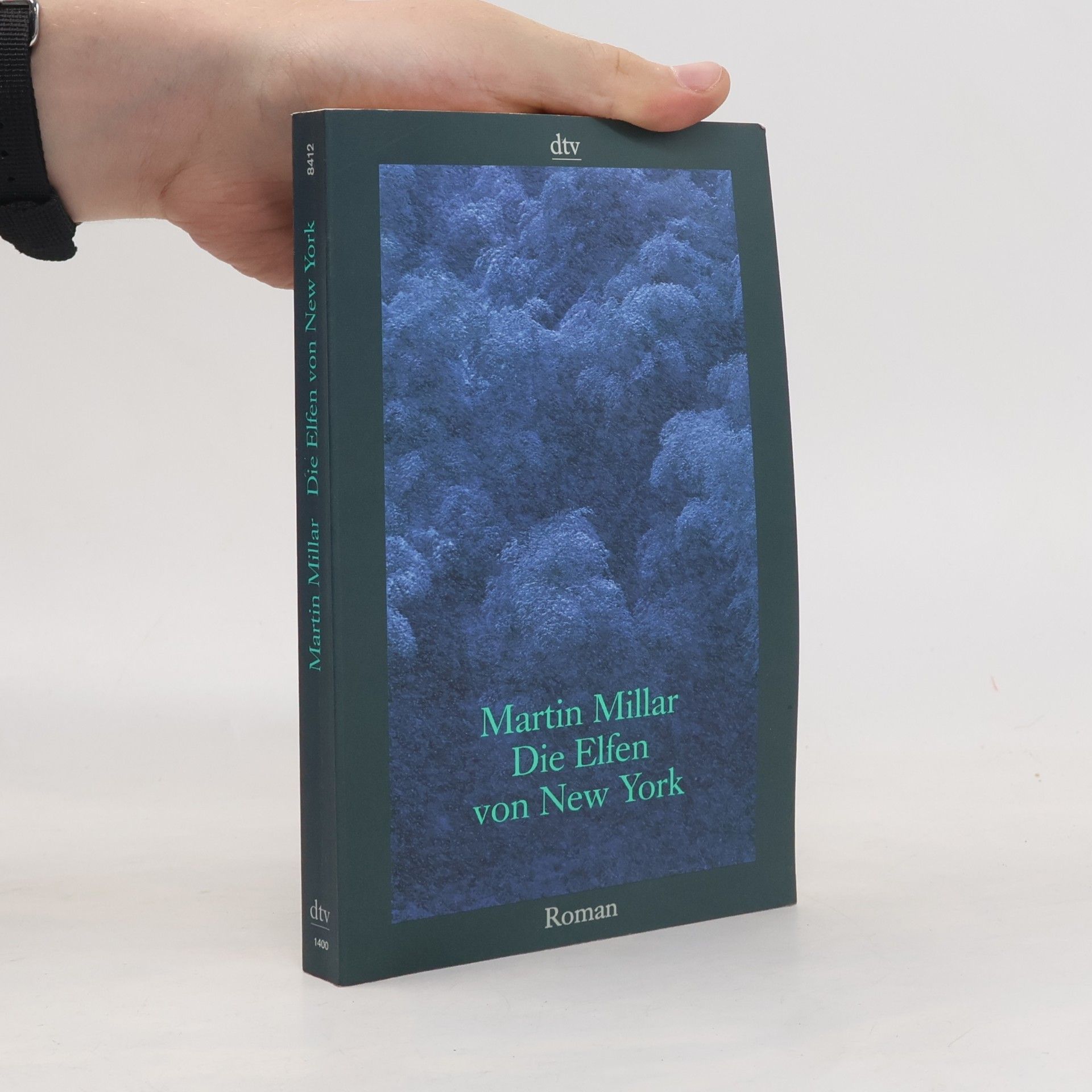 Martin Millar Die Elfen von New York