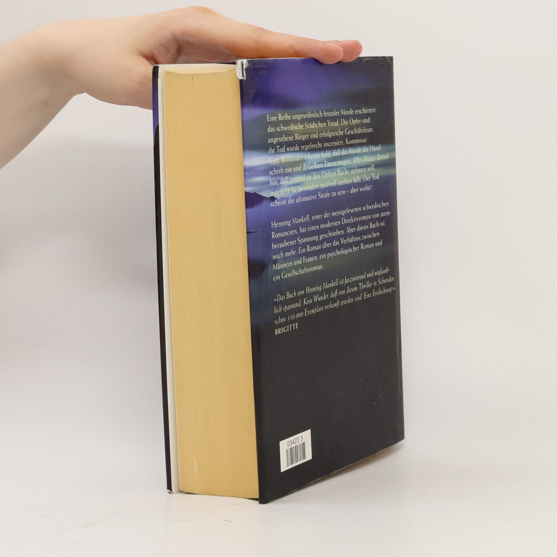 Henning Mankell Die fünfte Frau