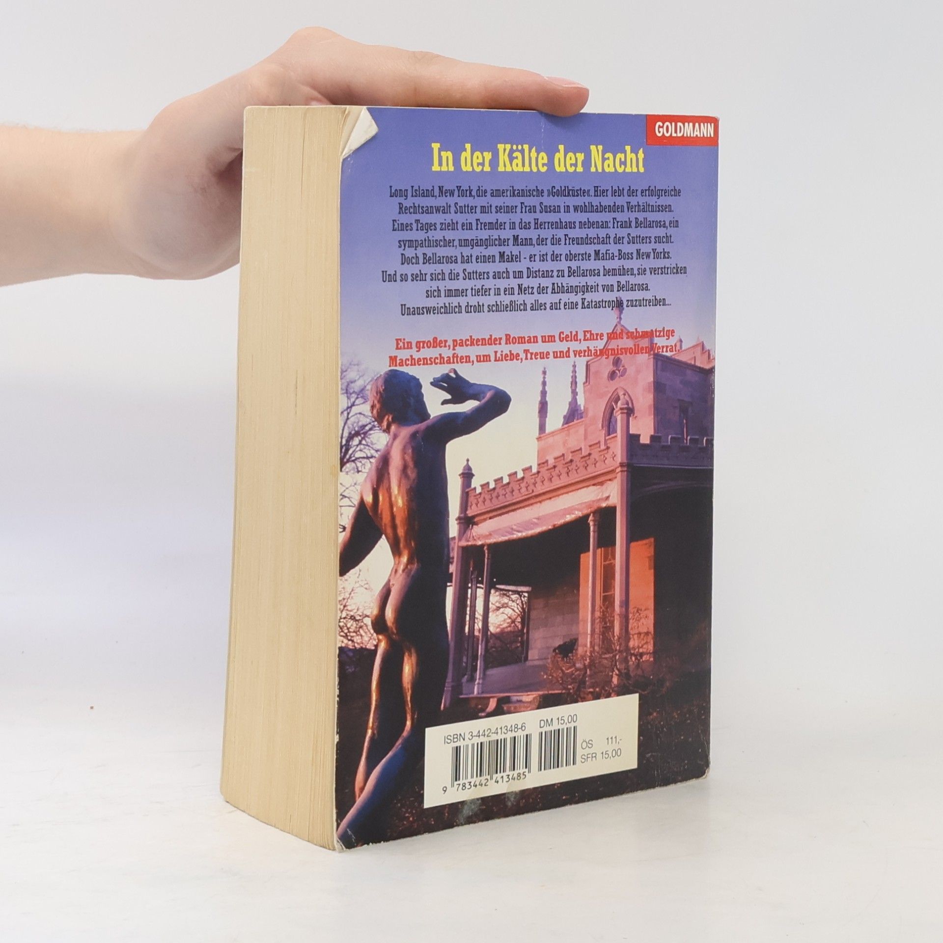 Nelson DeMille In der Kälte der Nacht