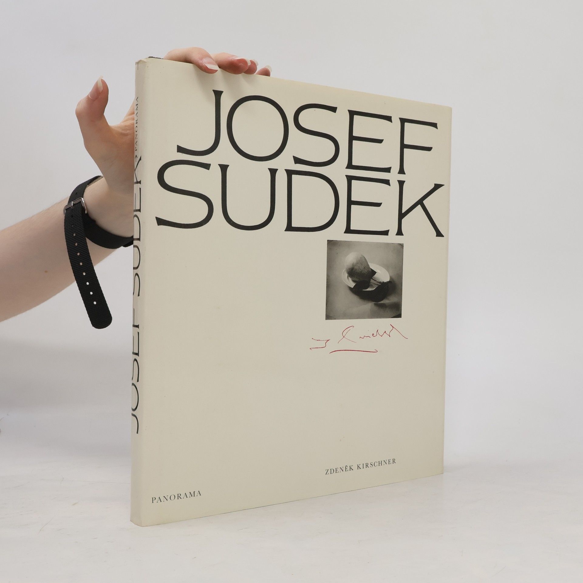 Josef Sudek. Výběr fotografií z celoživotního díla