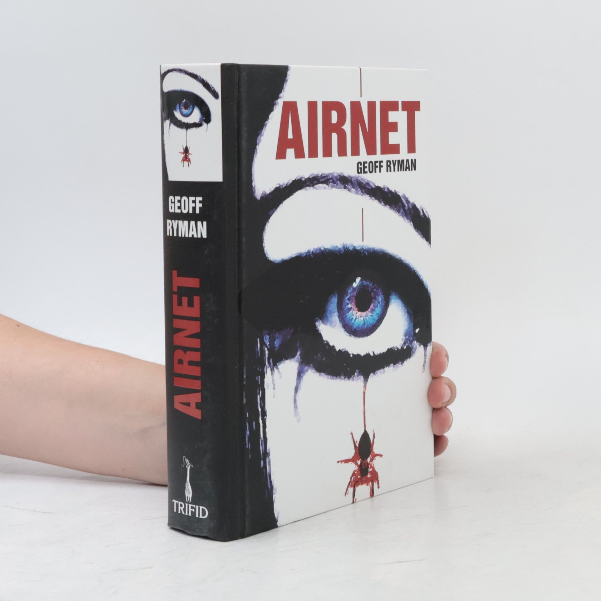 Geoff Ryman Airnet