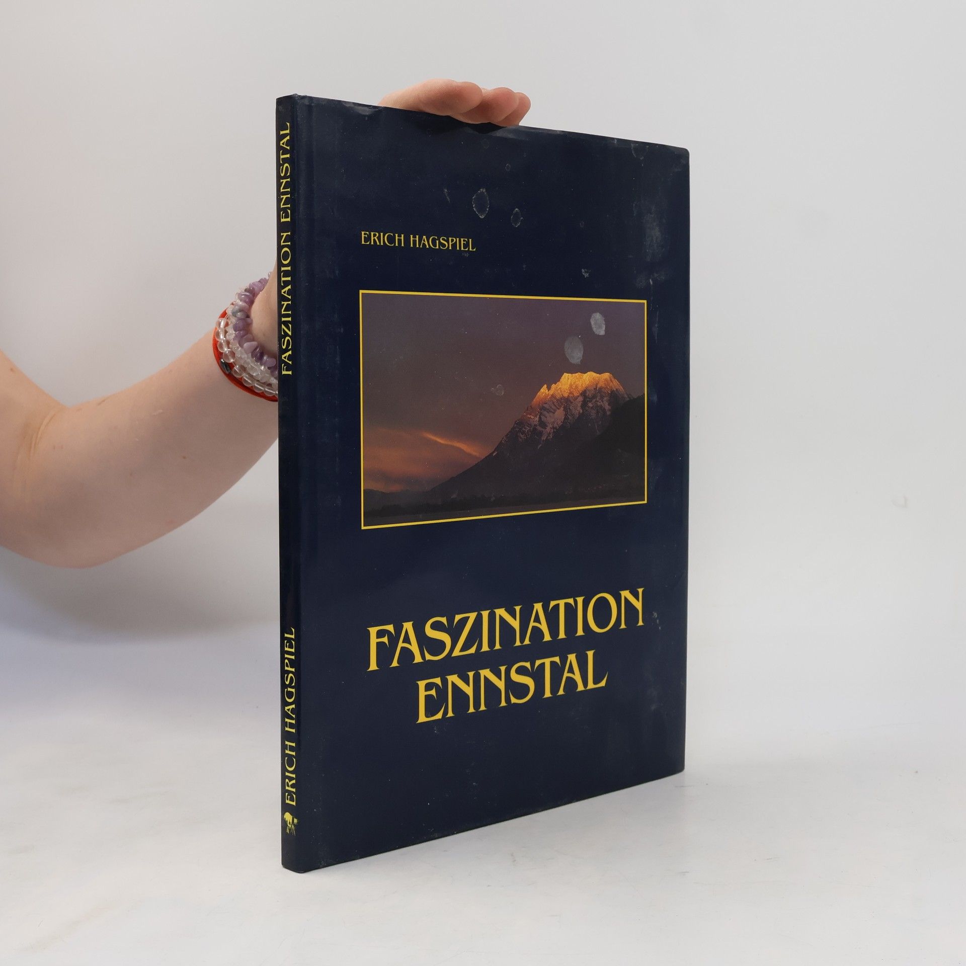 Erich Hagspiel Faszination Ennstal