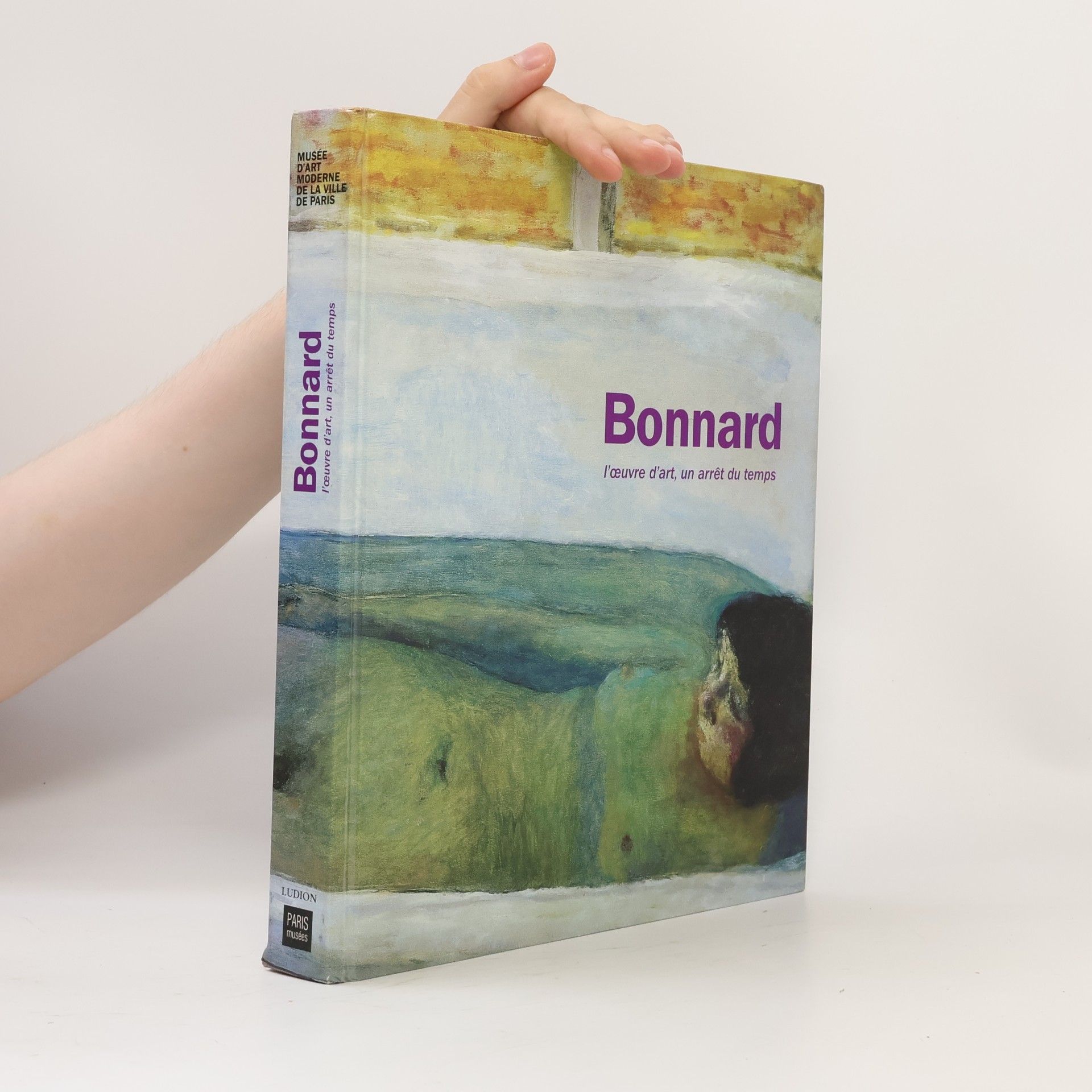 Musée d'art moderne de la Ville de Paris: Bonnard, l'œuvre d'art, un arrêt du temps