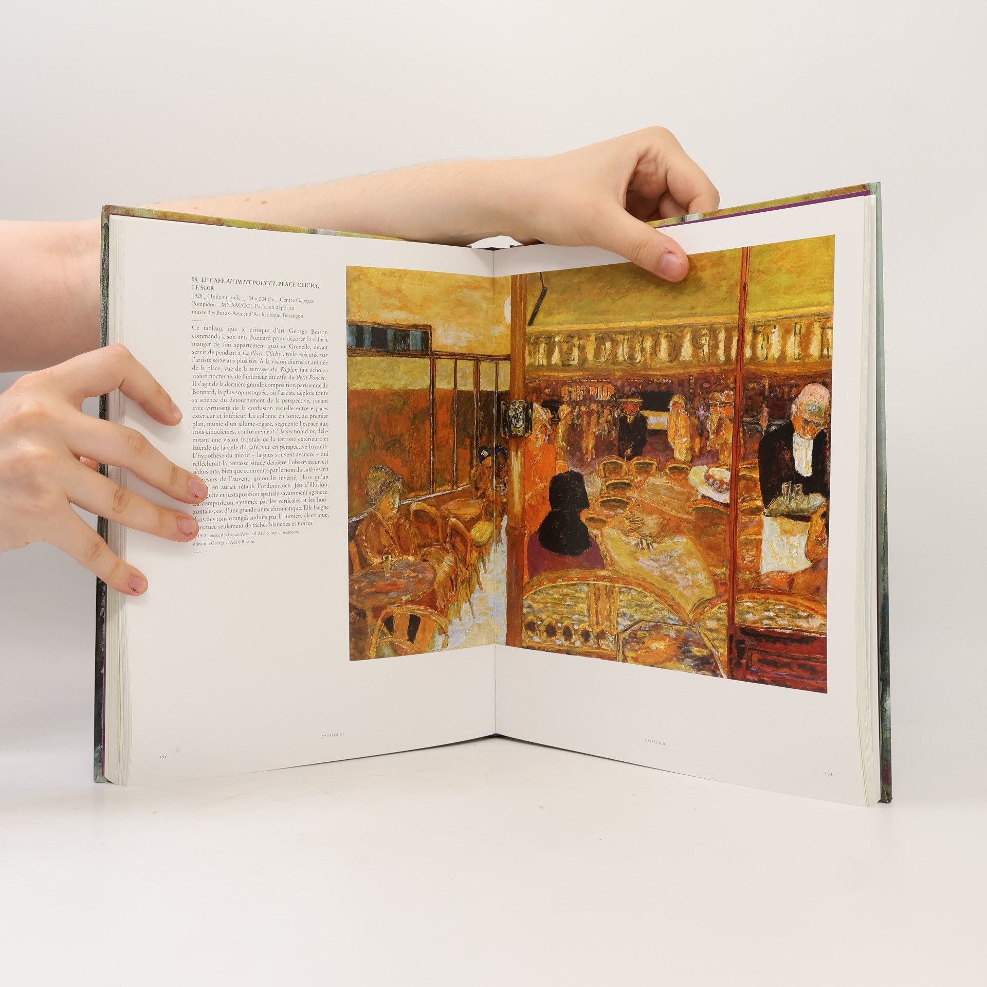 Pierre Bonnard Musée d'art moderne de la Ville de Paris: Bonnard, l'œuvre d'art, un arrêt du temps