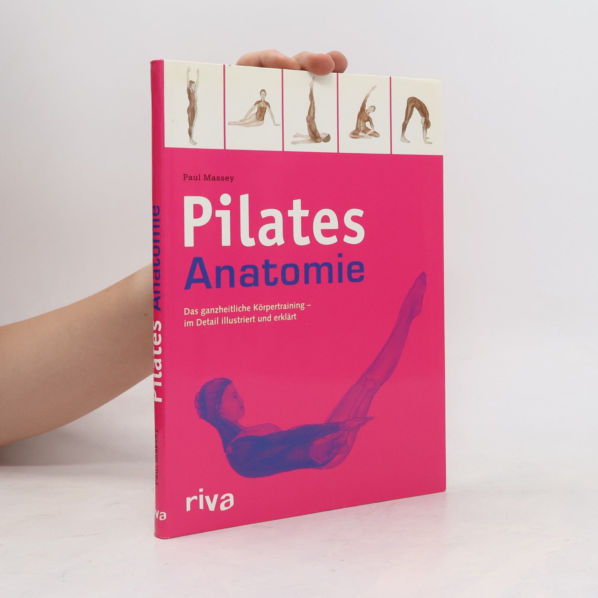 Paul Massey Pilates-Anatomie